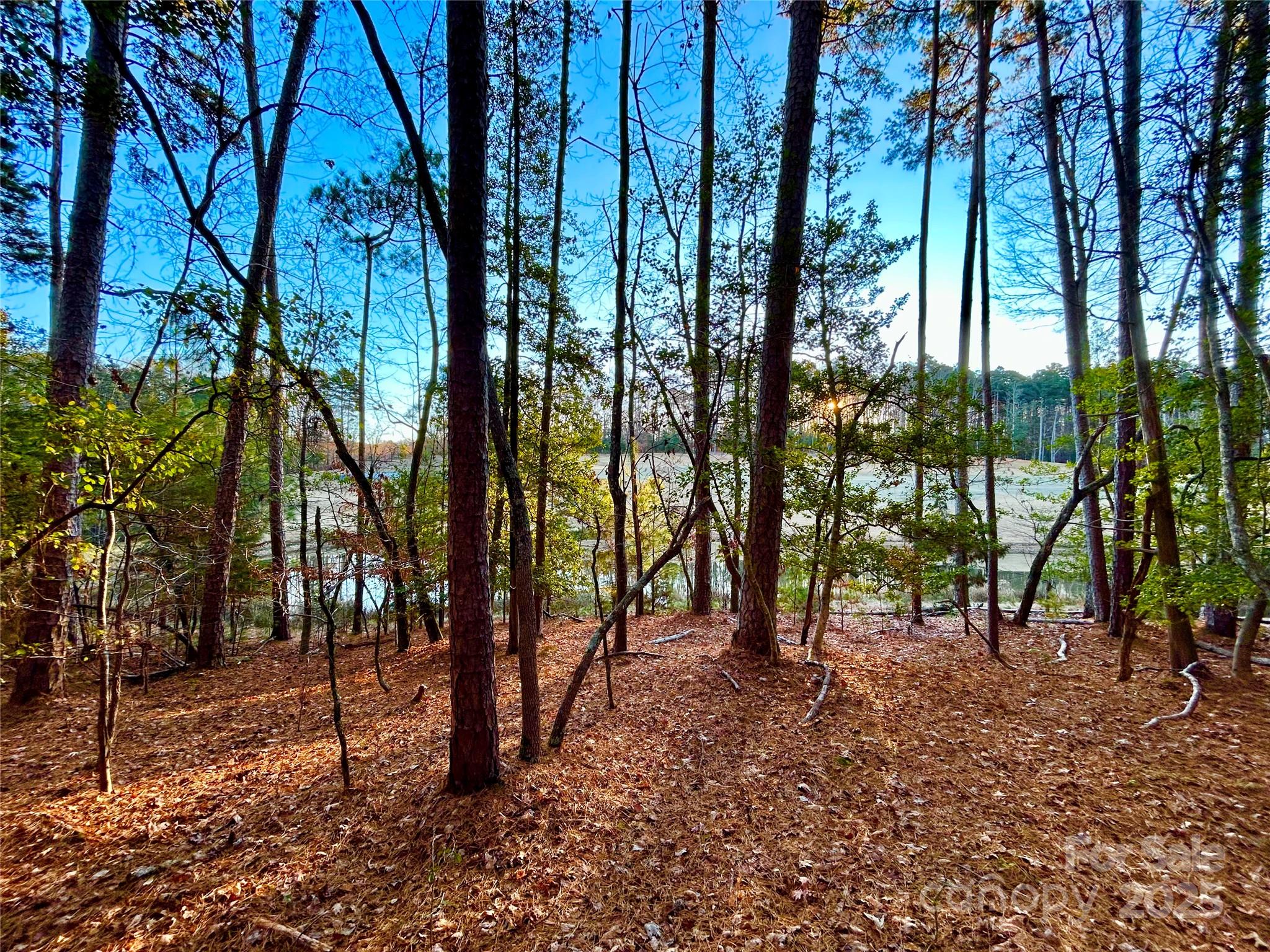 Build your dream home on this incredible lot overlooking the golf course in the desirable Tillery Tradition subdivision, located on Lake Tillery! This property overlooks the fairway and green of hole #16. . This subdivision offers the opportunity to join for a golf and pool membership! The Restaurant is conveniently located inside the neighborhood! Thanks to the nearby public boat ramp, you may also enjoy a day on the lake!  This lot is located in Gated Section of Tillery Tradition, & very close to the beautiful Clubhouse.  Building Restrictions require 2400 sf., plus a garage . The clubhouse is home to the pro shop, and great dining at the restaurant. HOA dues are $600.00 annually,& billed semi-annually at $300.00 at the current time. Go to www.tillerycc.com for information on Club Membership & fees. Tillery Tradition CC is located in Montgomery County, NC about one hr. east of Charlotte, NC, & one hr. from Greensboro, Winston, and Pinehurst.  Must have Realtor to enter.Agent Remarks Golf Course, pool are NOT included in HOA Dues.