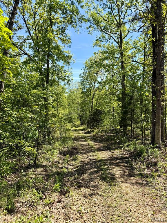 6 Furnace Creek Road