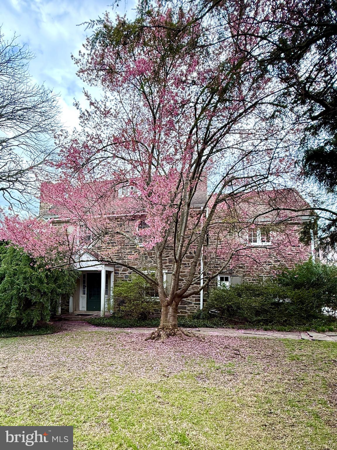 Beautiful, gracious stone colonial on one of Wynnewood's loveliest streets.