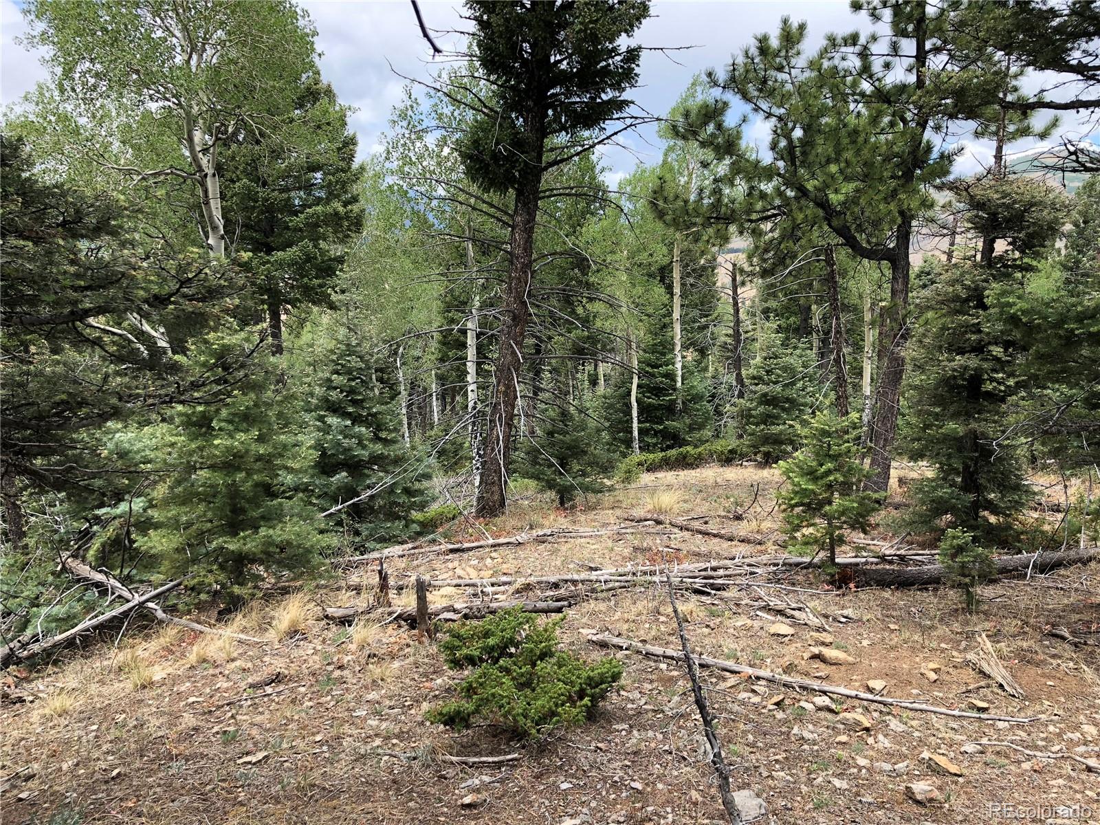 Lot 174 Ferris Place