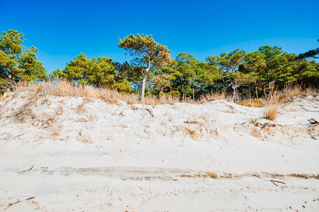 Lot # 2 Elliotts Creek Ln 2