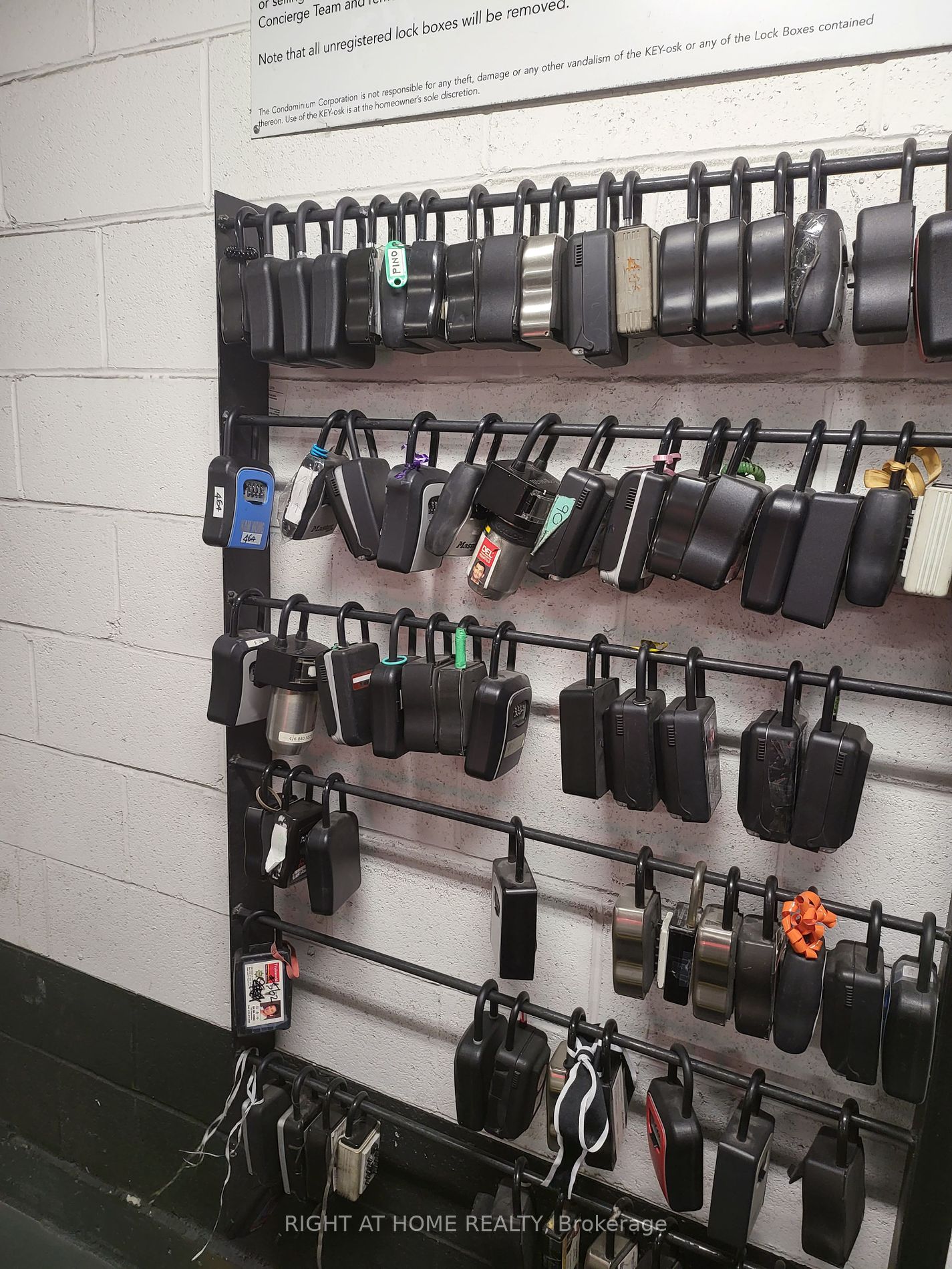 60 Ann O'reilly Rd 464