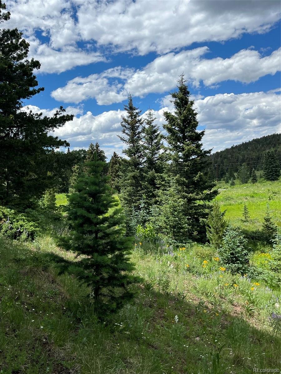 Lot 3091 Sterenson Place
