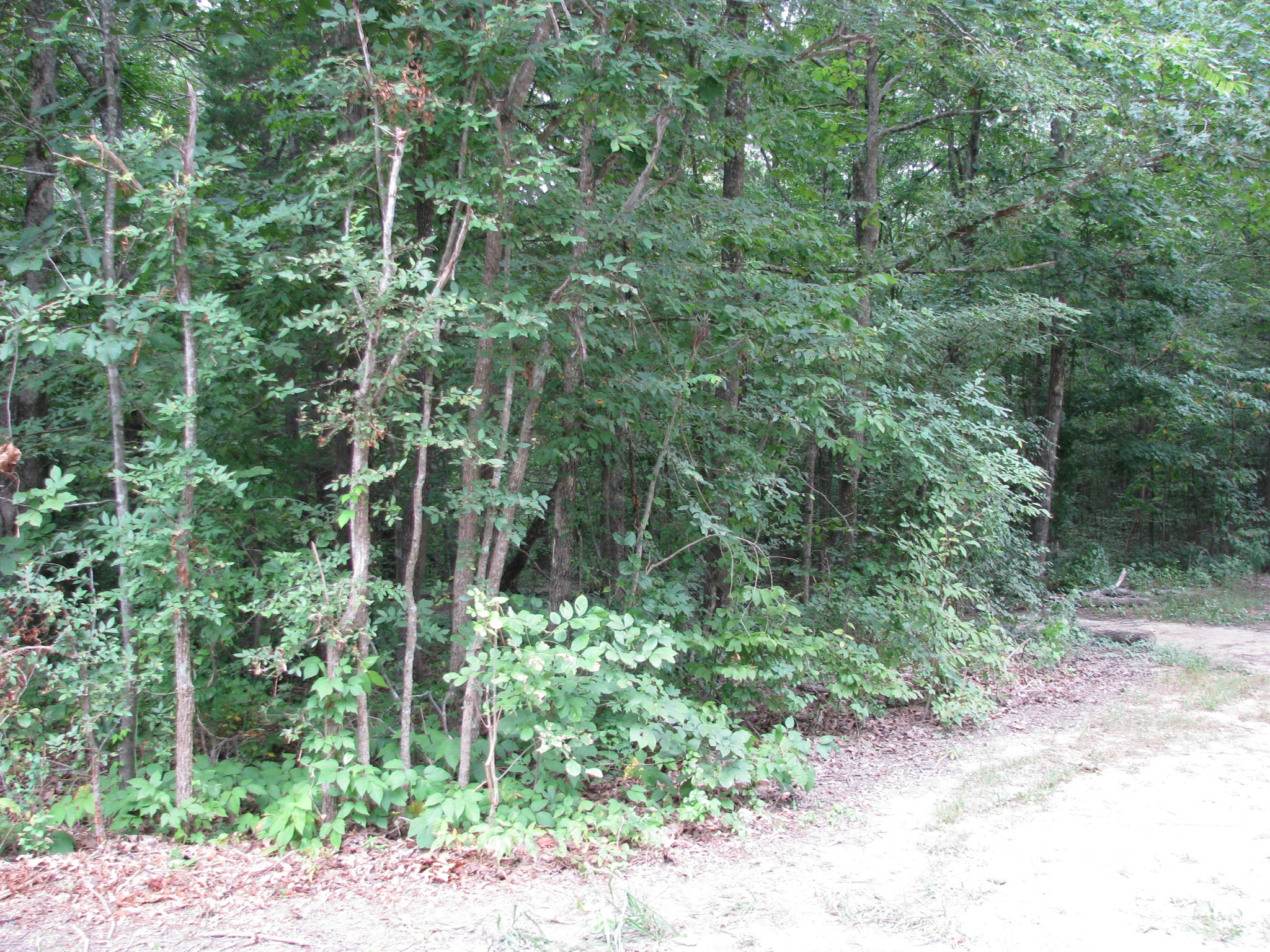 128 Washington Cir