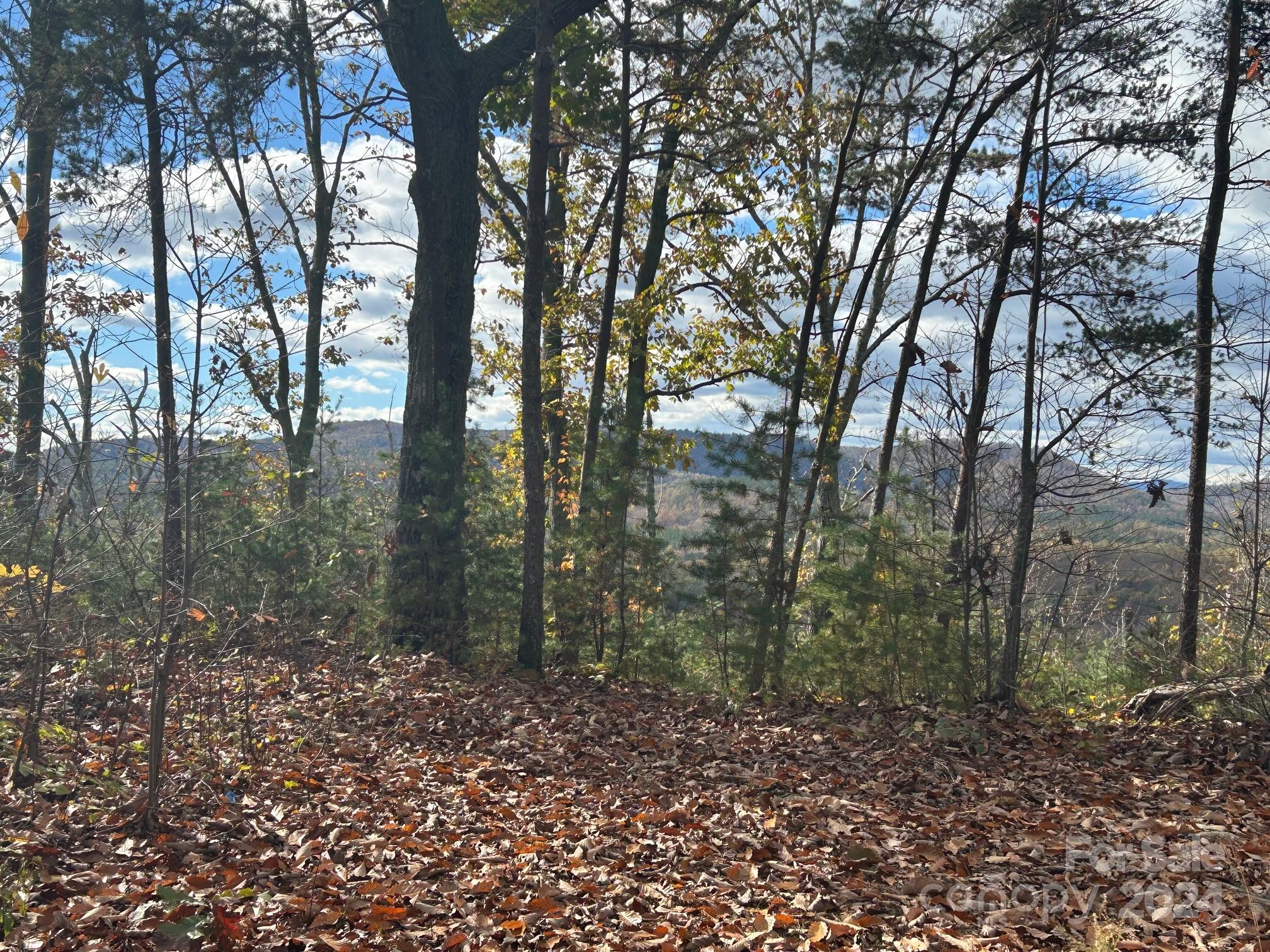 Combined 57 Acres with power, water and sewer in Connelly Springs! Located just minutes to I-40 and East Burke Highschool this property offers spectacular mountain views and a short commute to Hickory.  Currently zoned R-2  this property has frontage to US 70 via an additional lot that is included in this offer REID 11666; PIN 2753918849