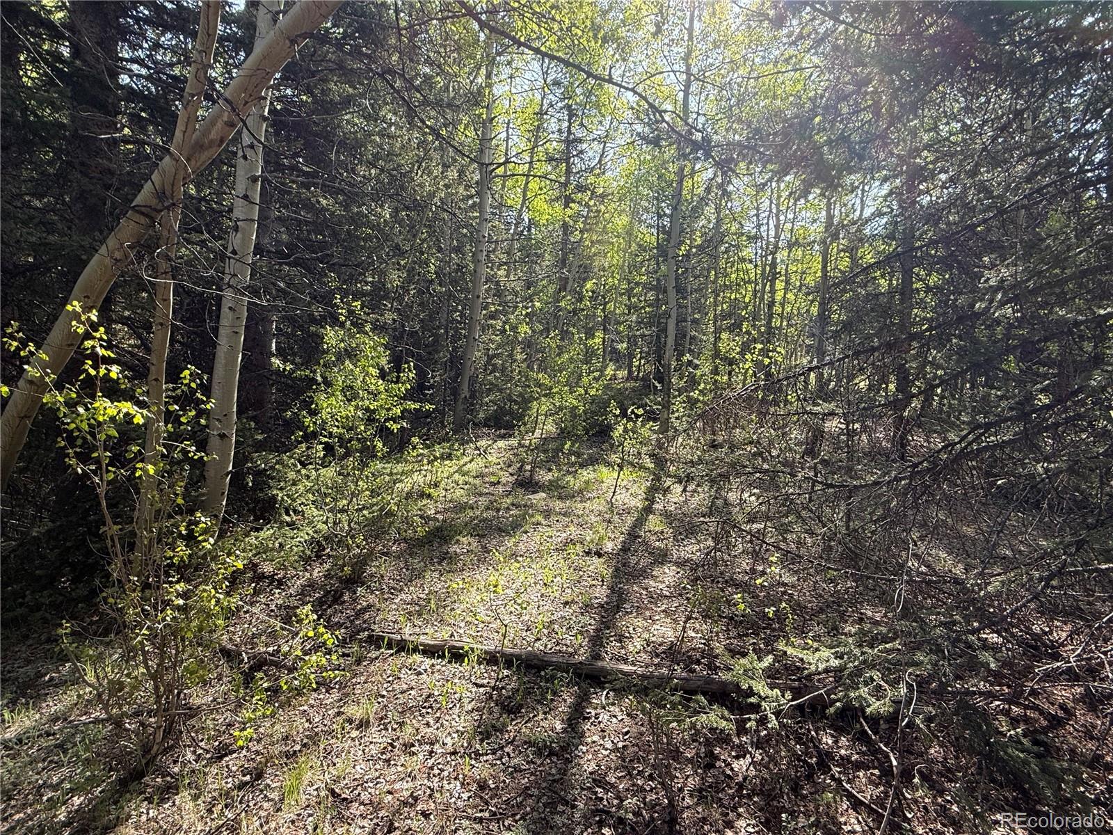 Lot 6843 Ryland Road