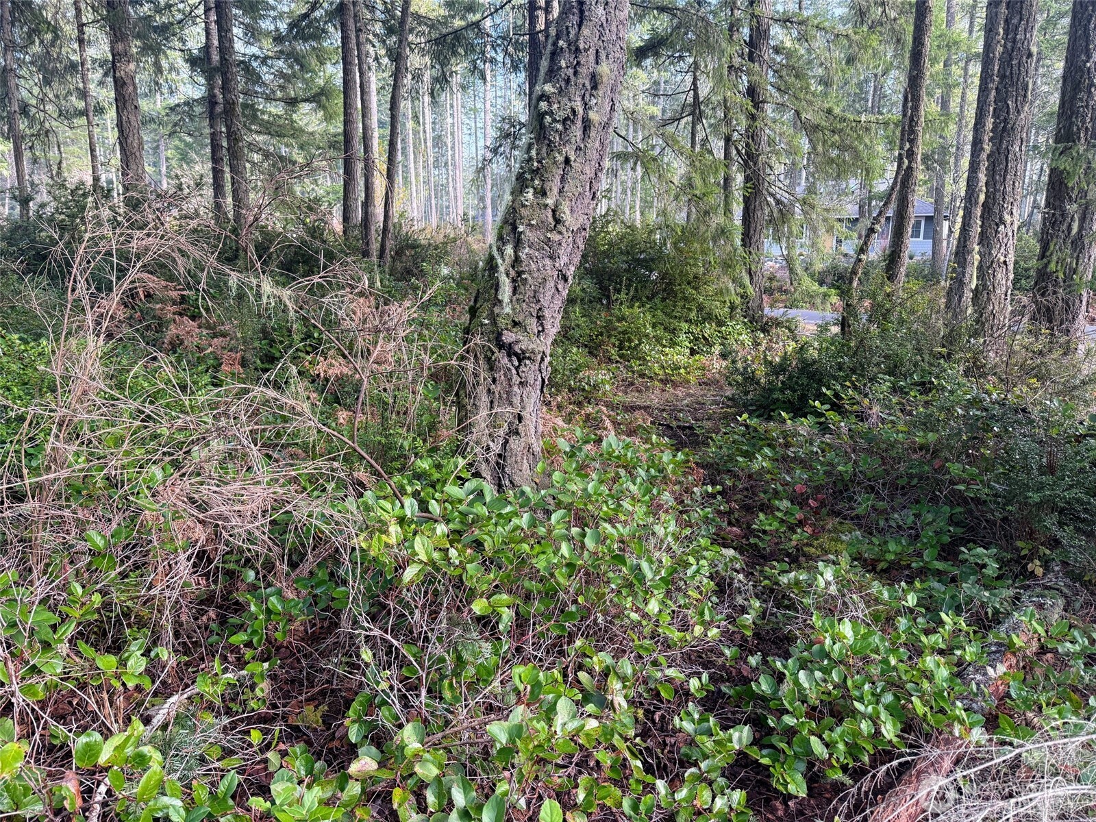 40 E Paint Brush Lane