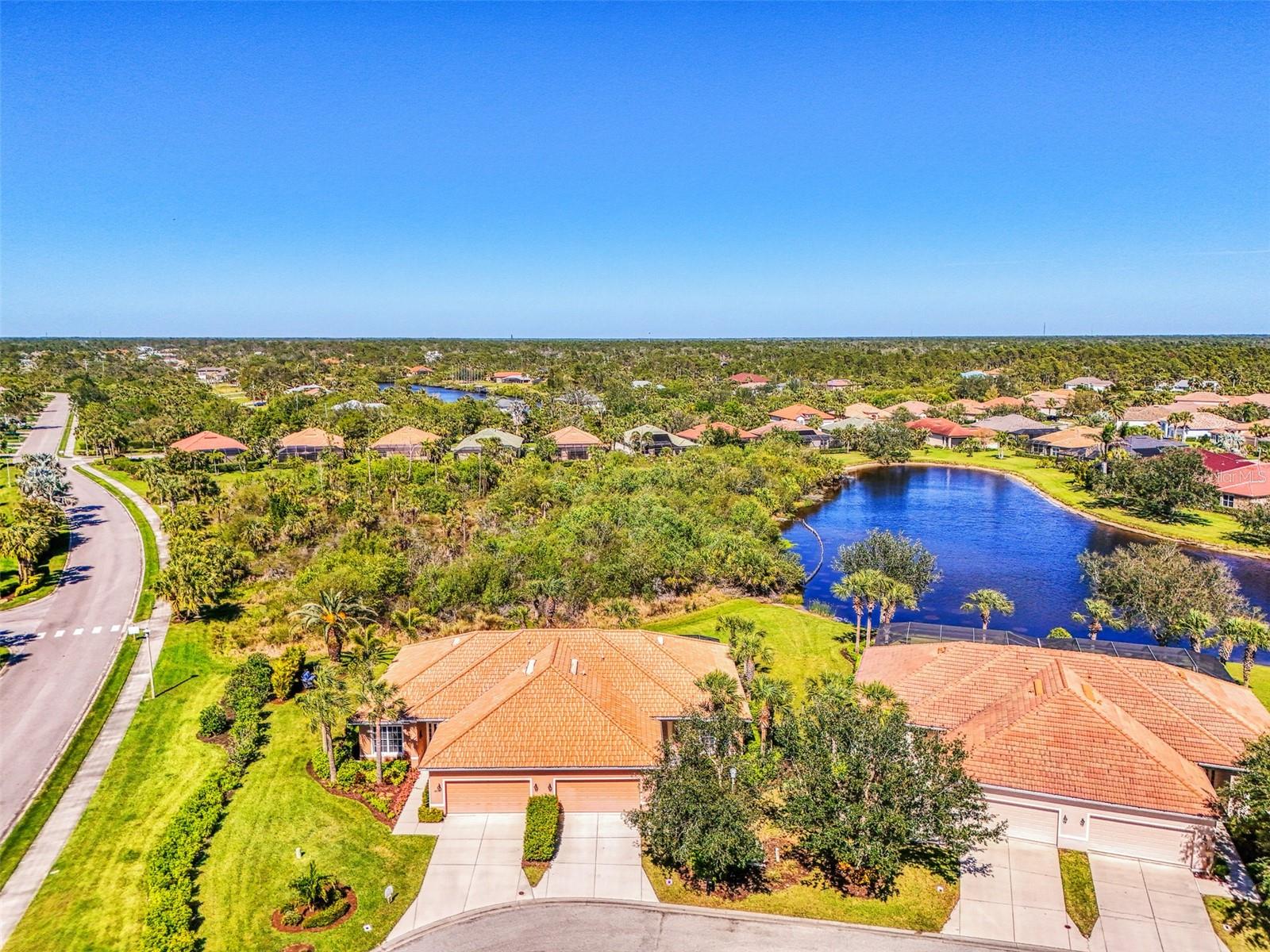2625 Wax Myrtle