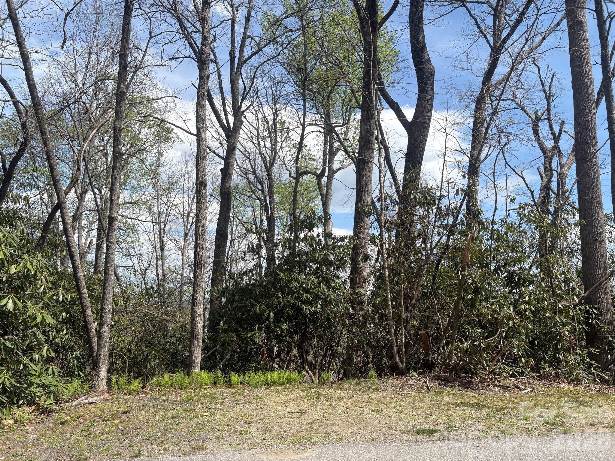 TBD Swiss Pine Lake Drive 117