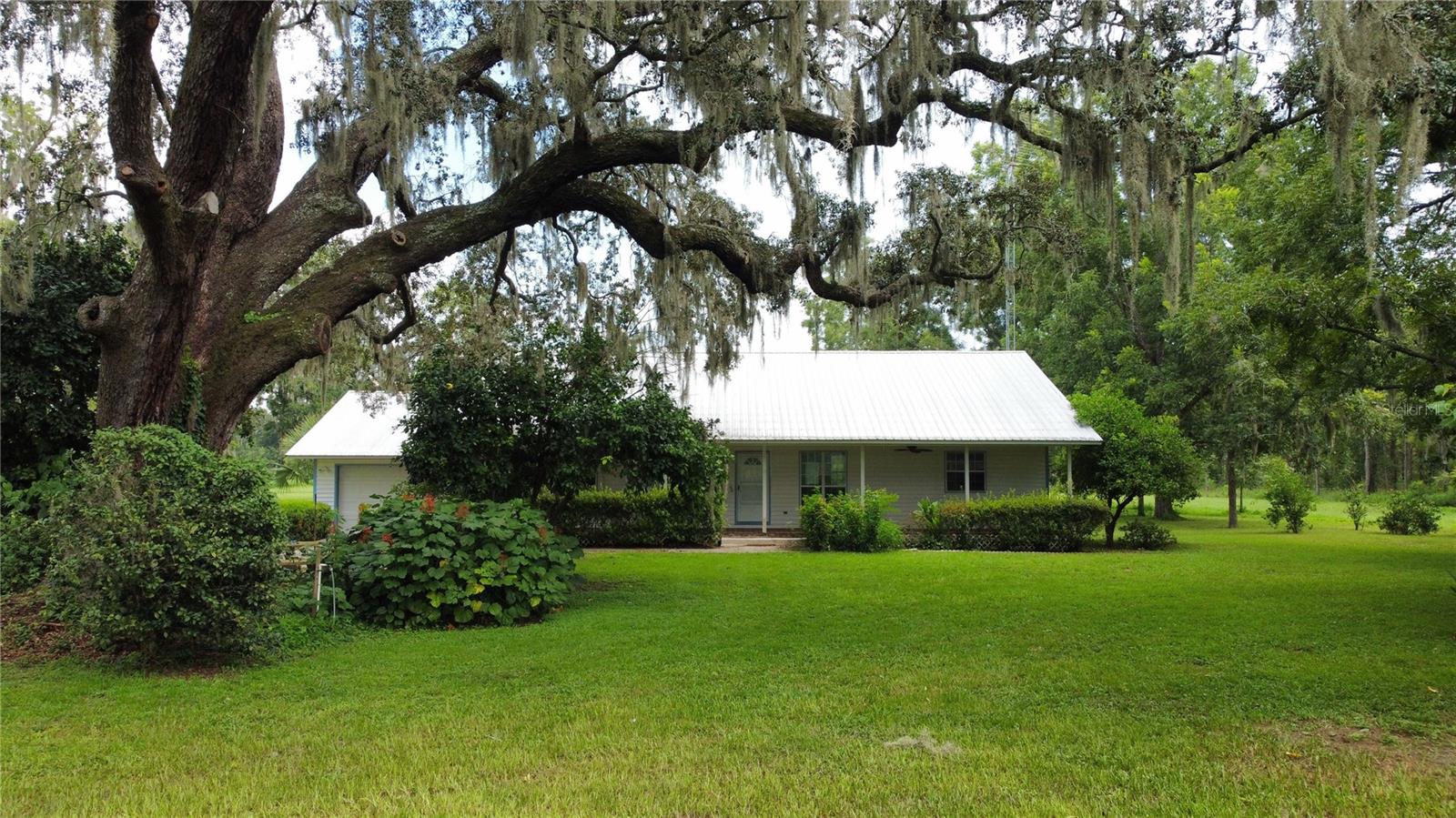 Want to Get Started With a New Horse Farm? Ocala Ranches