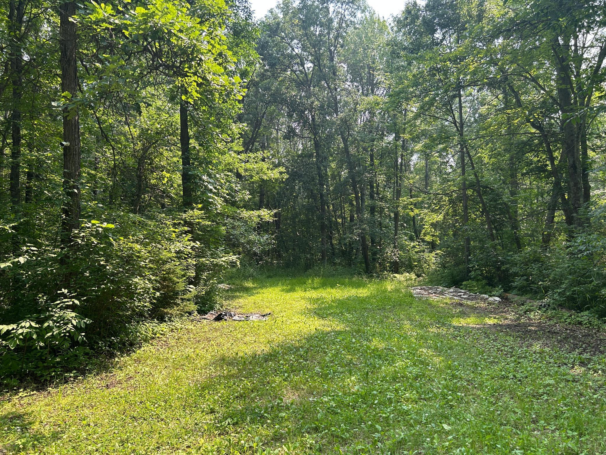 266XX Birch Trail