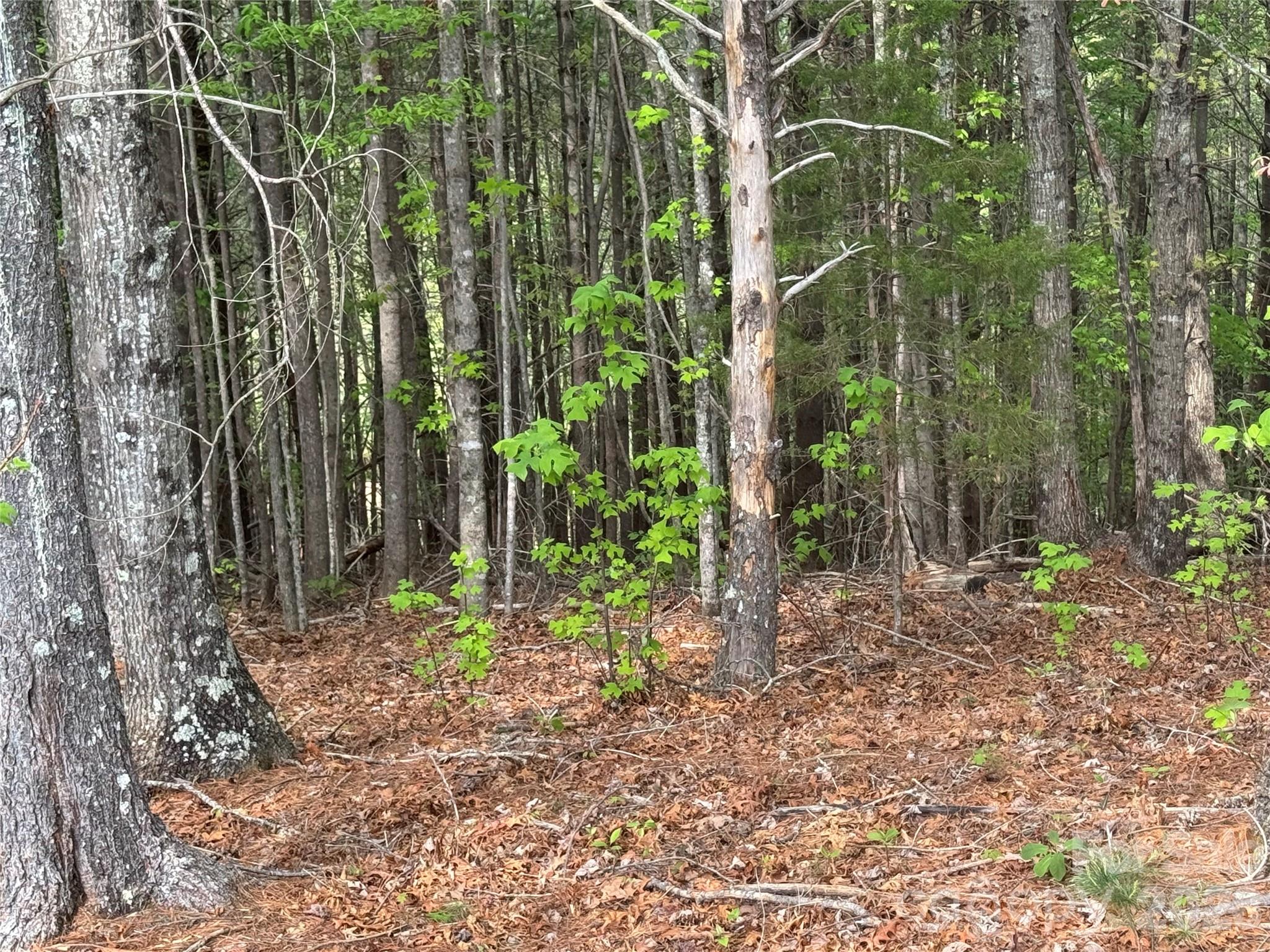 Lot 161/162 Rocky Falls Lane 161/162