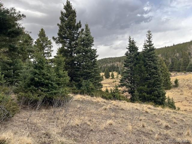 Lot 3091 Sterenson Place
