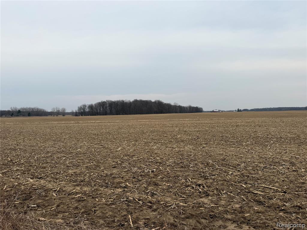 Excellent opportunity to own a 117 acre corner lot in Tuscola County, whether you farm it, build on it, or hunt it, You're going to love this property and all of the road frontage it includes.