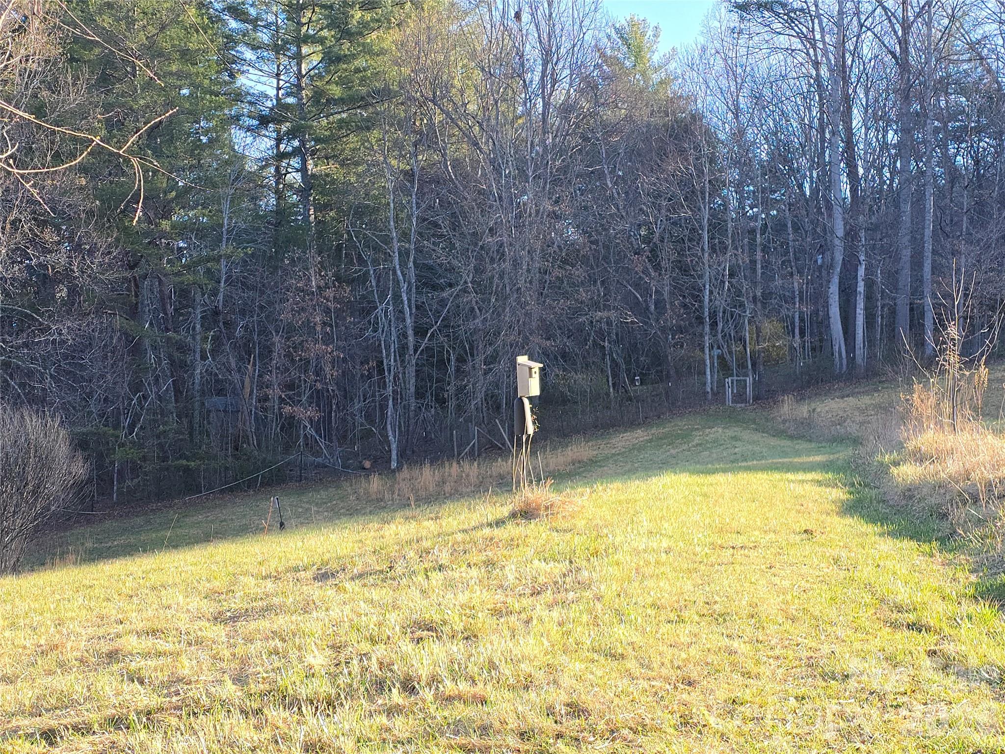 117 Woods View Trail