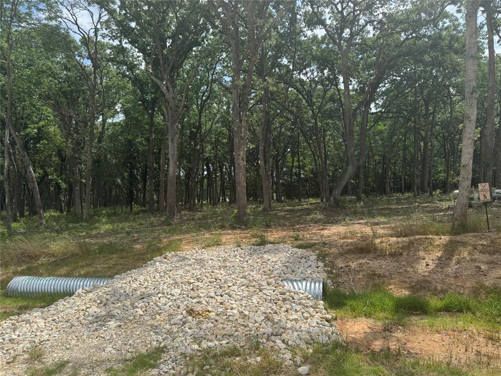 1216 Buck Trail