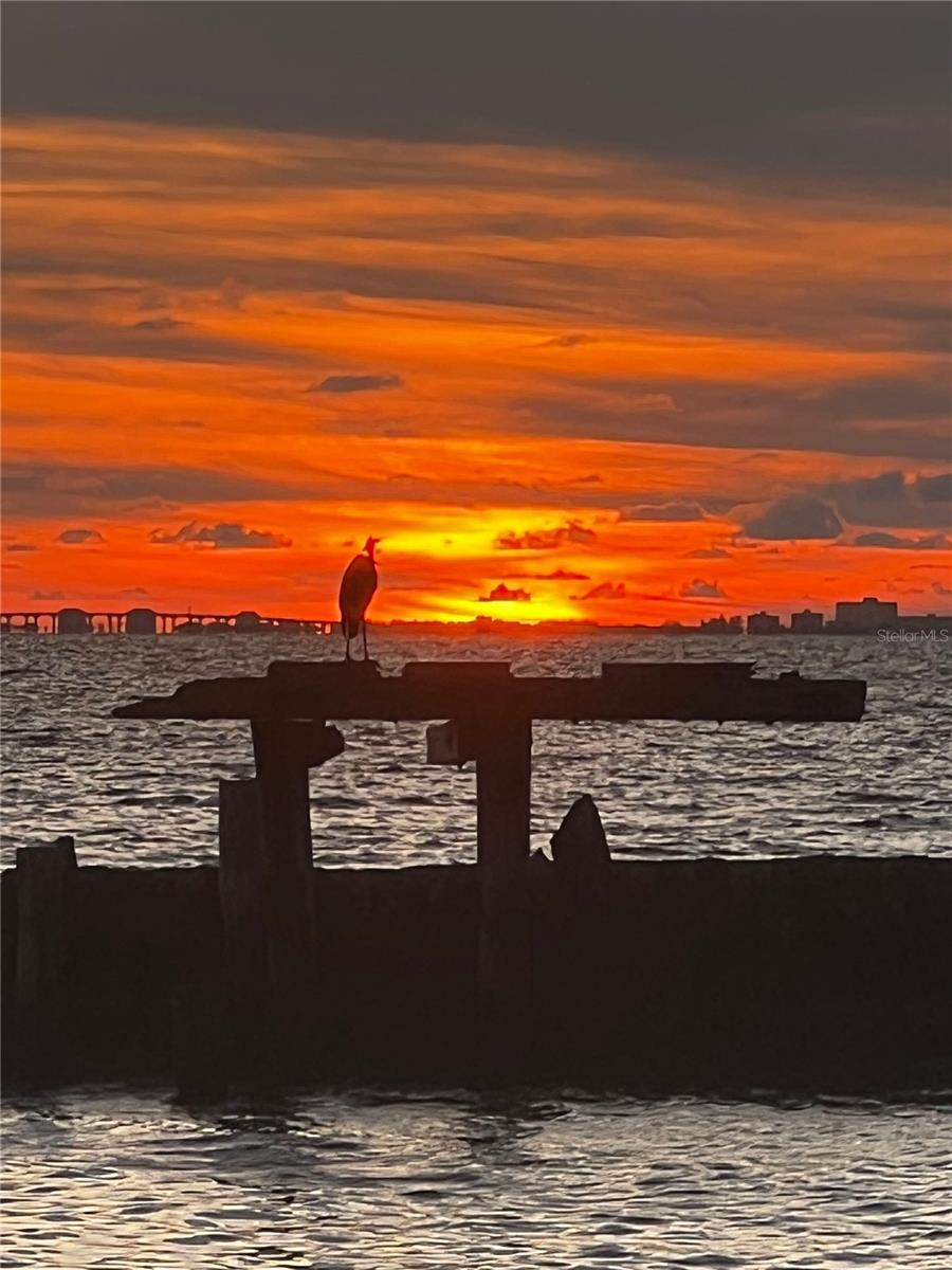 912 Piney Point Road