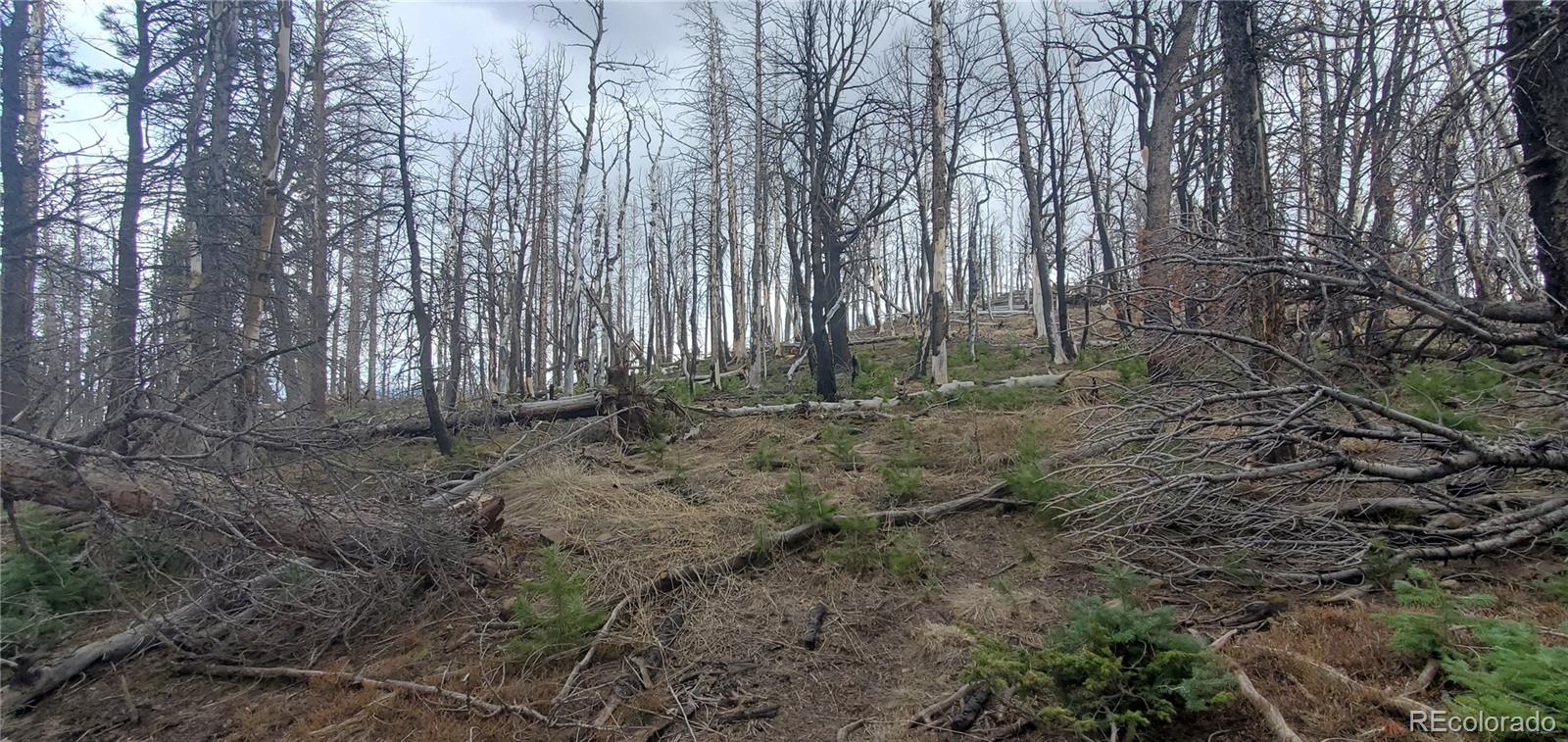 Lot 2738 Newman Place
