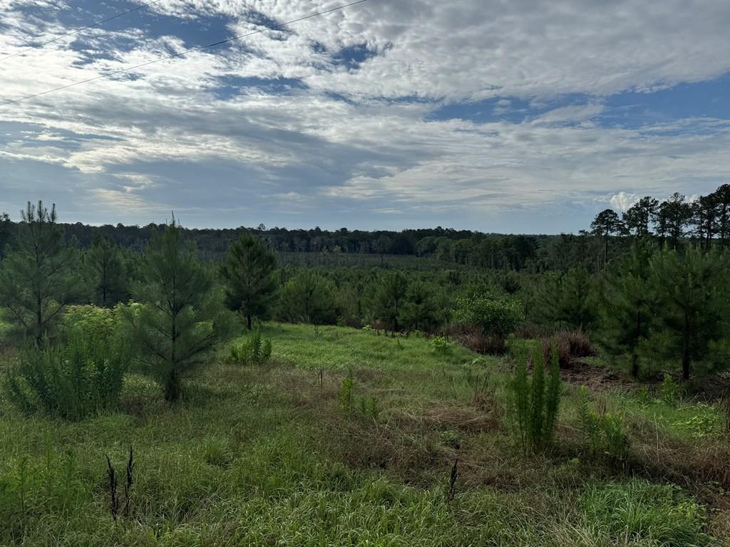 This "Diamond in the rough" is truly amazing...The primary home of a man who had all the adventures we dream about, this 3 BR/2 Bath home is as neat as a pin and has all the exterior extras including stables, shops and detached storage...located in southern Grady, this one wont last long