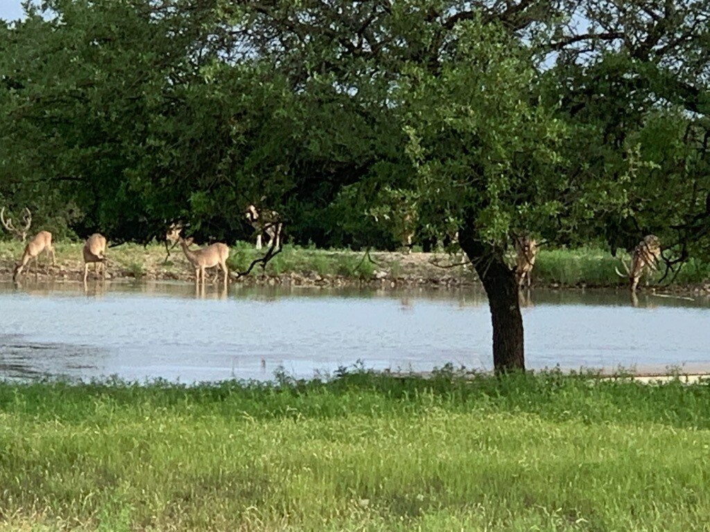 101 NE Big Draw Drive