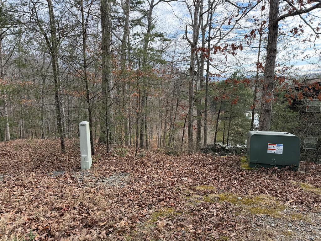 Awesome Wells Lake 3 lots for sale together =2.69 3 lots combined as one tract with septic system already installed and county approved on center lot #5. Flanking lots #4 and #6 cannot be developed but they provide a quiet buffer between you and your neighbors. There is a shared well for lots 1-6 with a connection at the roadside near lots. Electricity and cable are also available at the road . Sprawling lot overlooks the pond. A serene stream which funs along the back property lines flows into the pond. Gravel road to the property is off old Evans Road. A paved 2 lane road. The gravel road is maintained by the property owners association (POA). The whole area is wonderful for walks morning and evening. Lots is facing southeast so will get sunrise and might be a glimpse of sunset going over the westerly sky. Easily accessible to Murphy, NC approx. 12 miles and 15 miles to Blairsville, GA.Come enjoy the serenity and privacy of living in a rural mountain community off 19/129 approx 1 1/2 miles off the Paved 19/129. Ready for you to lay out your home idea. Style of home very depending on taste as the lot is gentle laying, rolling with hardwoods thru out.