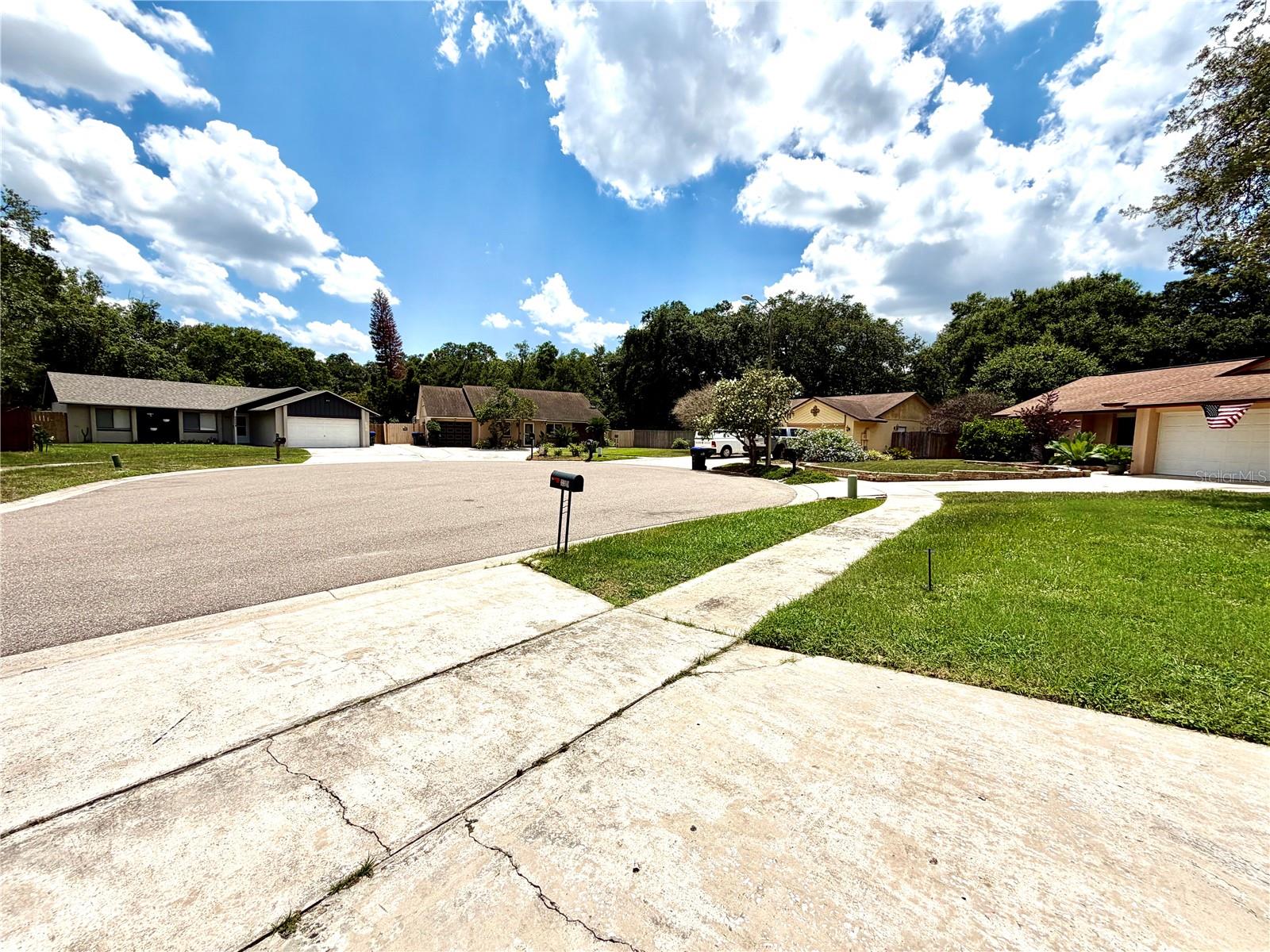 3349 Sassafras Court