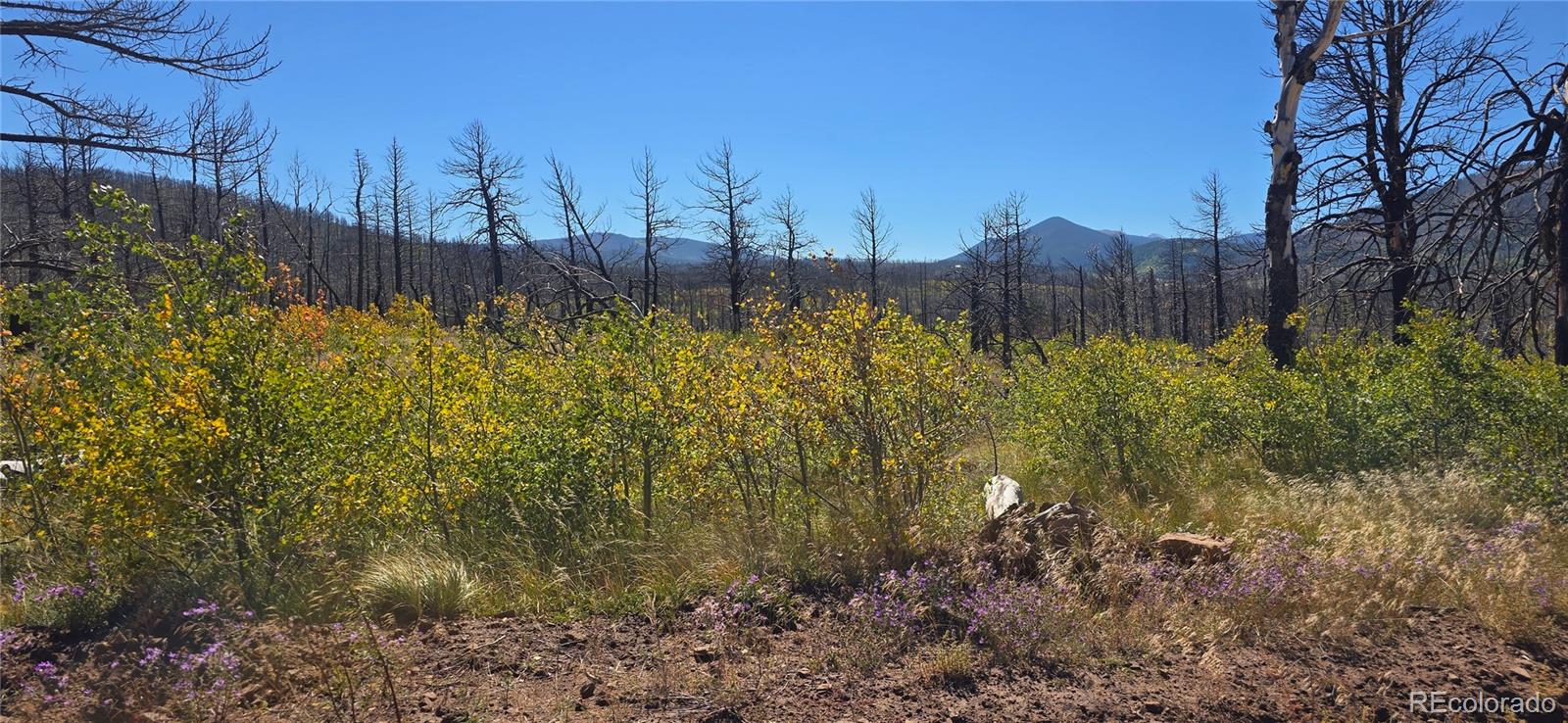Lot 1684 Emery Loop
