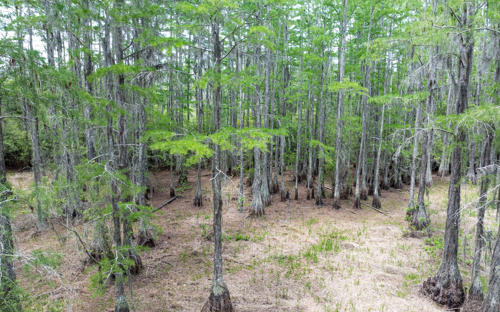 1285 SE Koon Lake Rd
