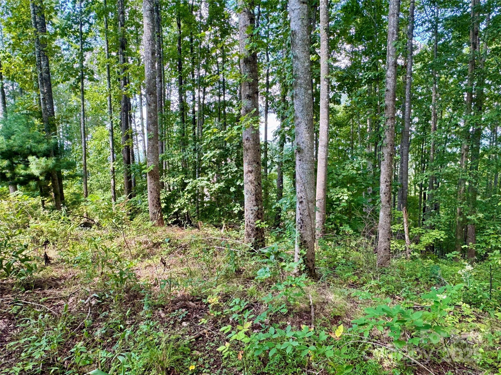 2.01 acres, Lot 971 Soaring Top Lane 971