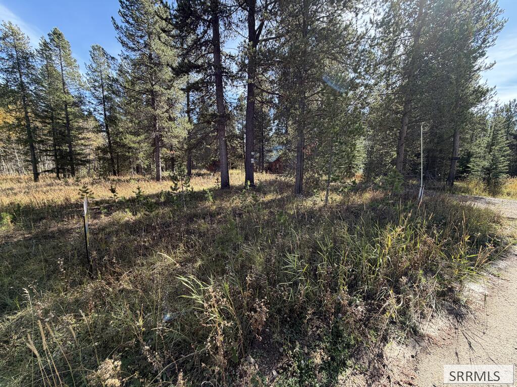 TBD Beaver Drive