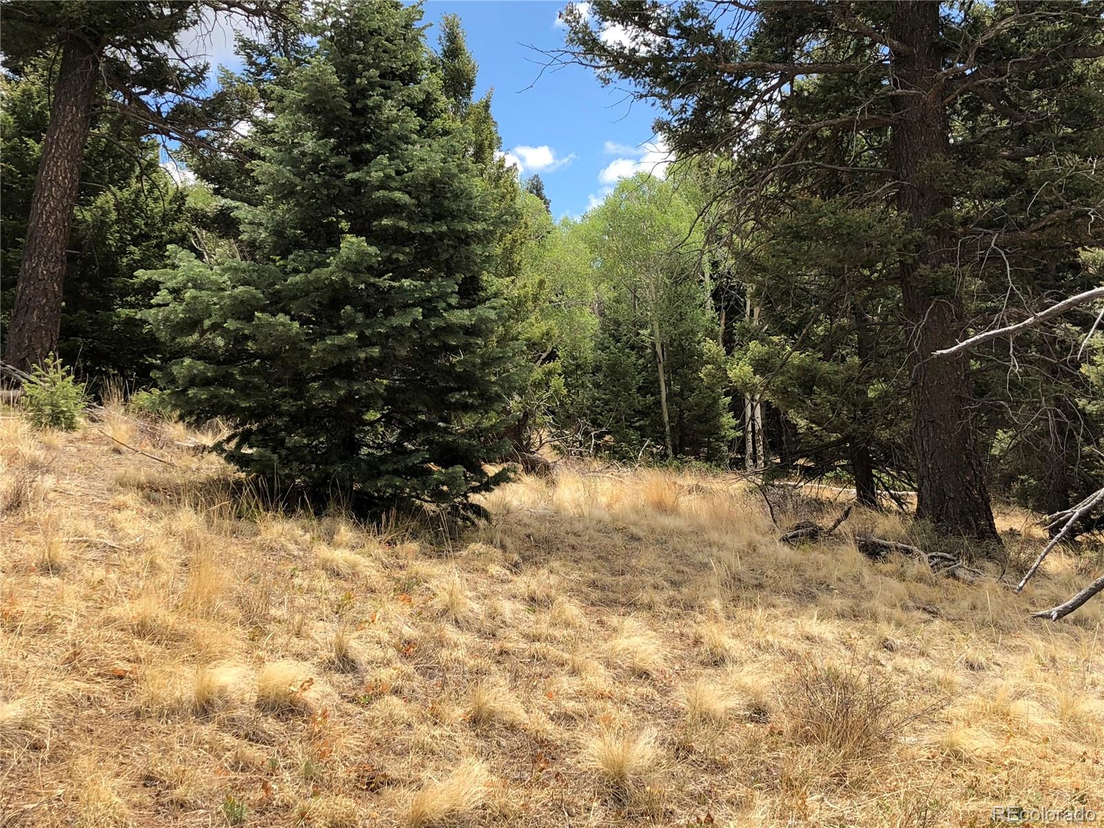 Lot 174 Ferris Place