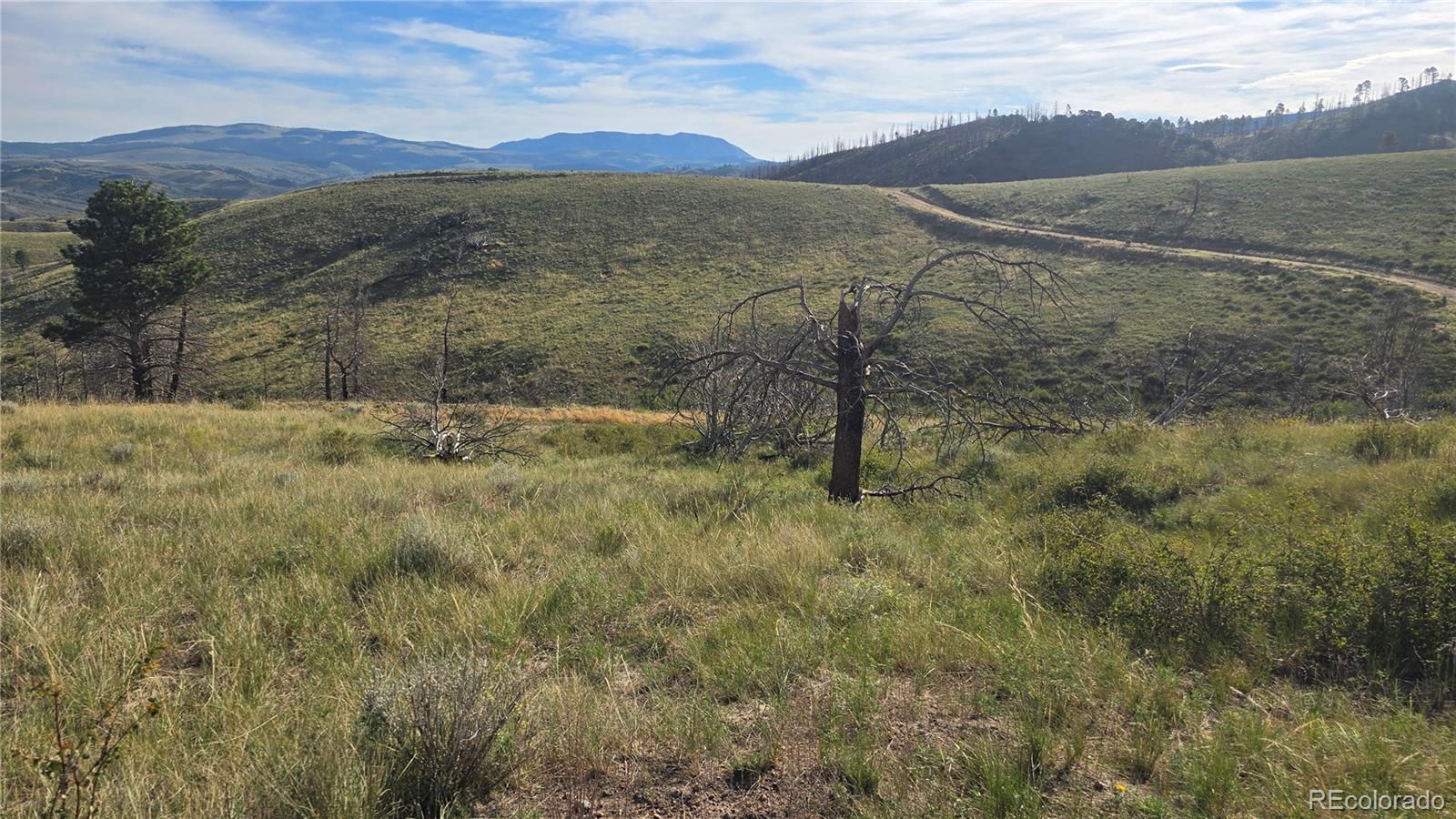 Lot 7719 Hallstein Road