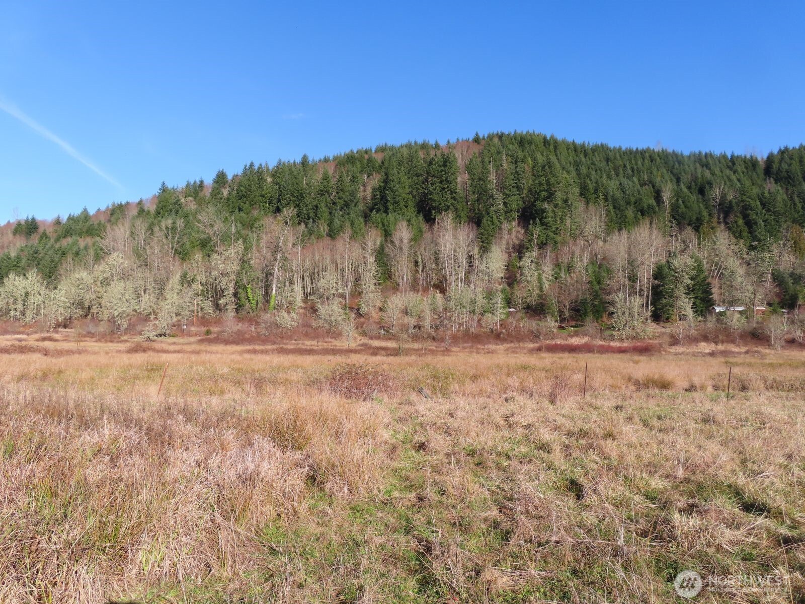 Seventy-seven+ acres of agricultural and timber land property already separated into 4 separate tax parcels, located near Mossyrock, WA. The property shares approximately 1/2 mile of common property line with Tacoma Power along the Cowlitz River. The property offers an abundance of pastureland, approximately 34 acres for your livestock, horses, and farming, with the remaining 33 acres of land covered in forest. Wildlife abounds, with signs of deer and elk traversing the property. There are plenty of good building sites offering incredible views of the Cascade Foothills, or choose a spot nestled in the woods for an ultimate private homesite. Hike the existing trails through the woods that take you down near the Cowlitz River, where you can create your own private fishing spot. A short 5-minute car ride takes you to Ike Kinswa State Park on Mayfield Lake to swim, fish, and launch your boat. There is also the potential to subdivide the property into more parcels of 10+ acres. Located on a quiet, paved county road, you are just 5 minutes from Mossyrock, WA, and 1 hour from Olympia, WA. 90 min to Portland, OR. 2 hours to Seattle, WA. Reasonable offers will be considered. The property at 369 Larson Road is not part of the sale, please do not tress pass.