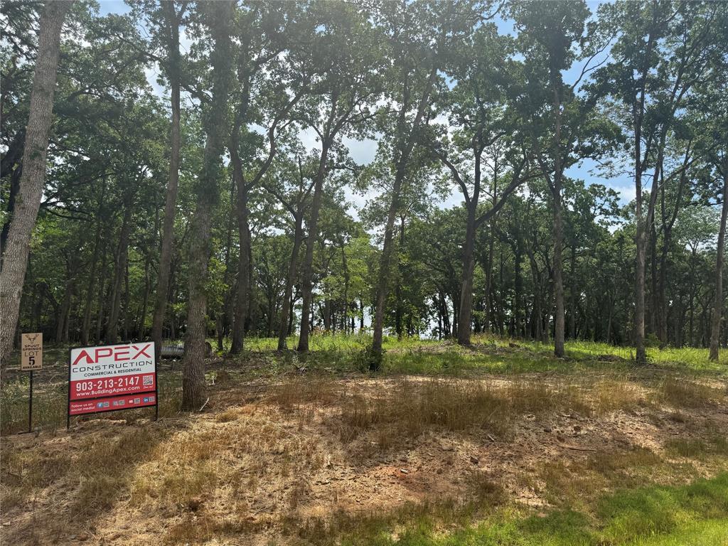 1216 Buck Trail