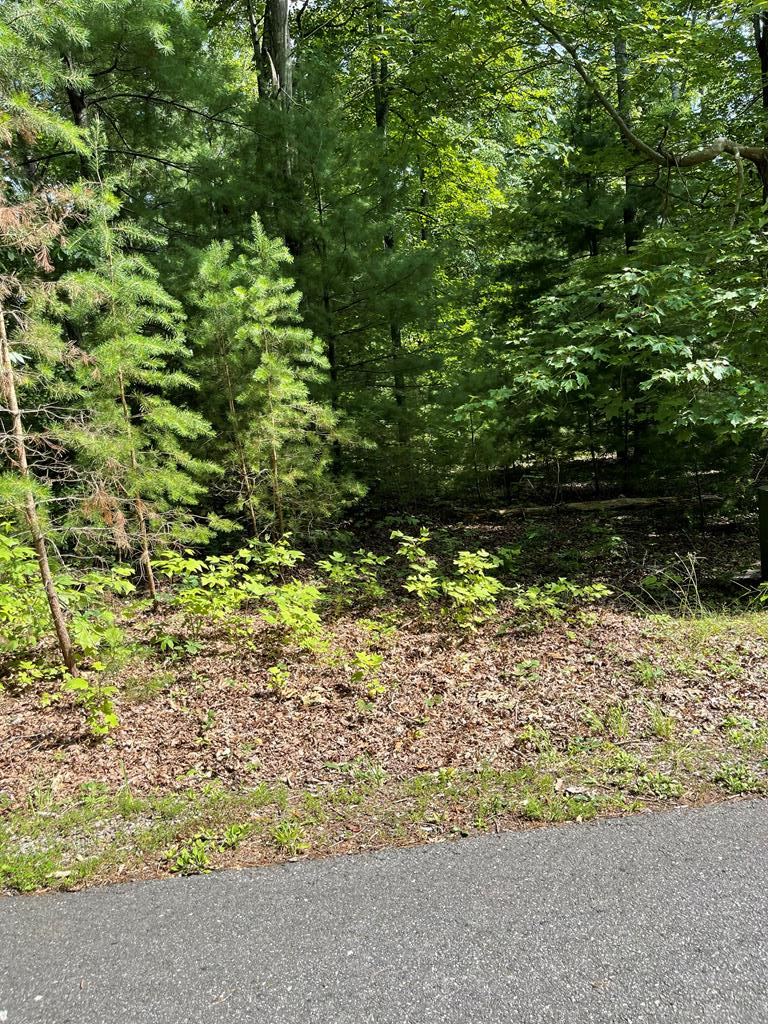 Beautiful Wooded Homesite Near Fairystone State Park & Philpott Lake. This picturesque homesite is ready for your dream 3-bedroom log cabin, with water and underground power already available. Nestled in the serene woods next to Fairystone State Park and Philpott Lake Federal Park, this lot offers both tranquility and convenience. Located in The Reserve at Fairystone, you'll be just a short drive from the Blue Ridge Parkway, historic Covered Bridges, Gordon Trent Golf Course, and the renowned Chateau Morrisette Winery. Whether you're planning to build a private getaway, a family retreat, or capitalize on a high-demand vacation rental, this property is a fantastic investment. The Reserve offers storage space for boats, campers, and more—with a key fee for owners. Enjoy the wonders of nature with all the comforts you need. Call today to schedule your private showing!