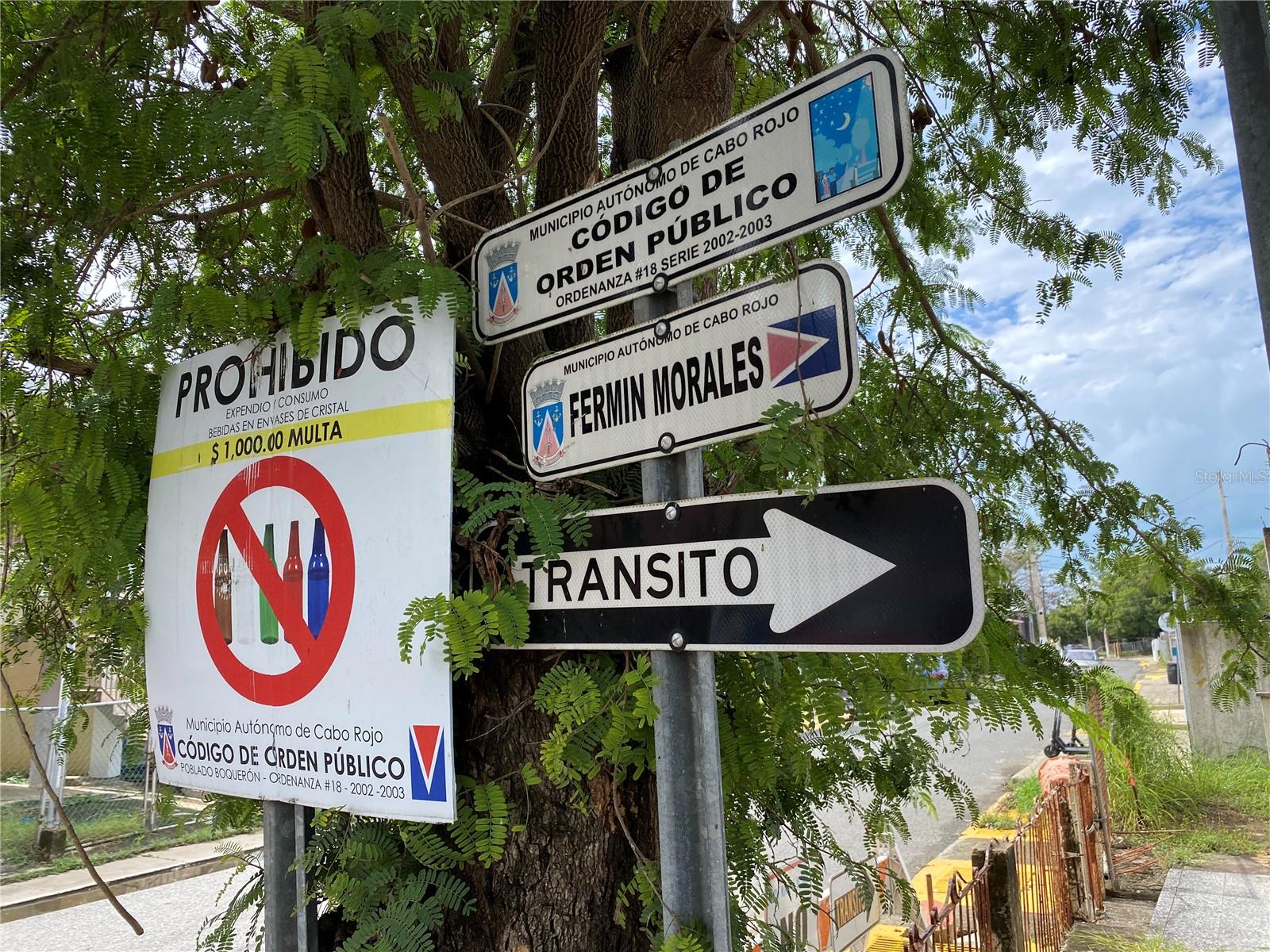 47 Luis Munoz Rivera ST Sr-101 Poblado De Boqueron