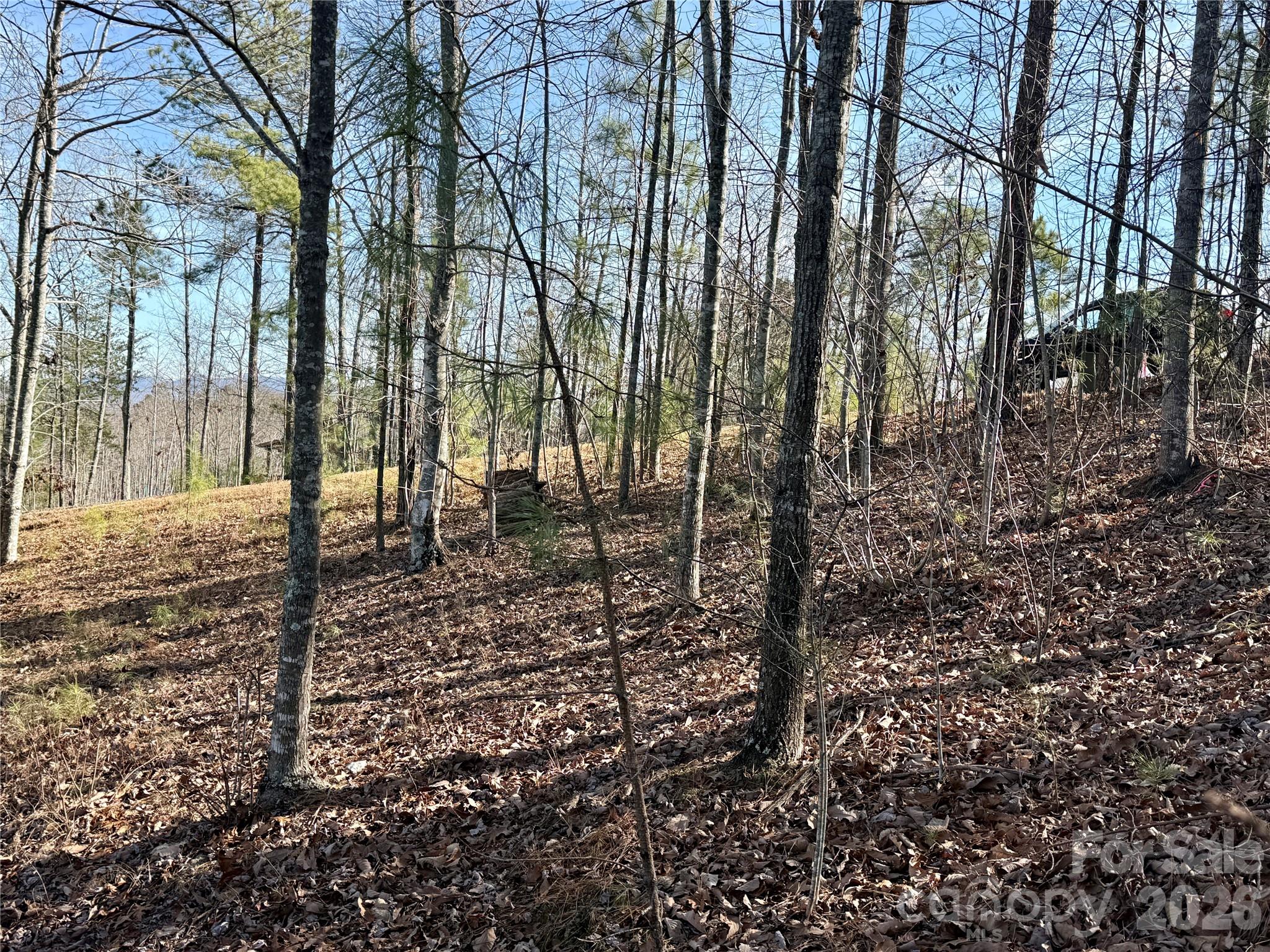 338 Grandview Peaks Drive 36