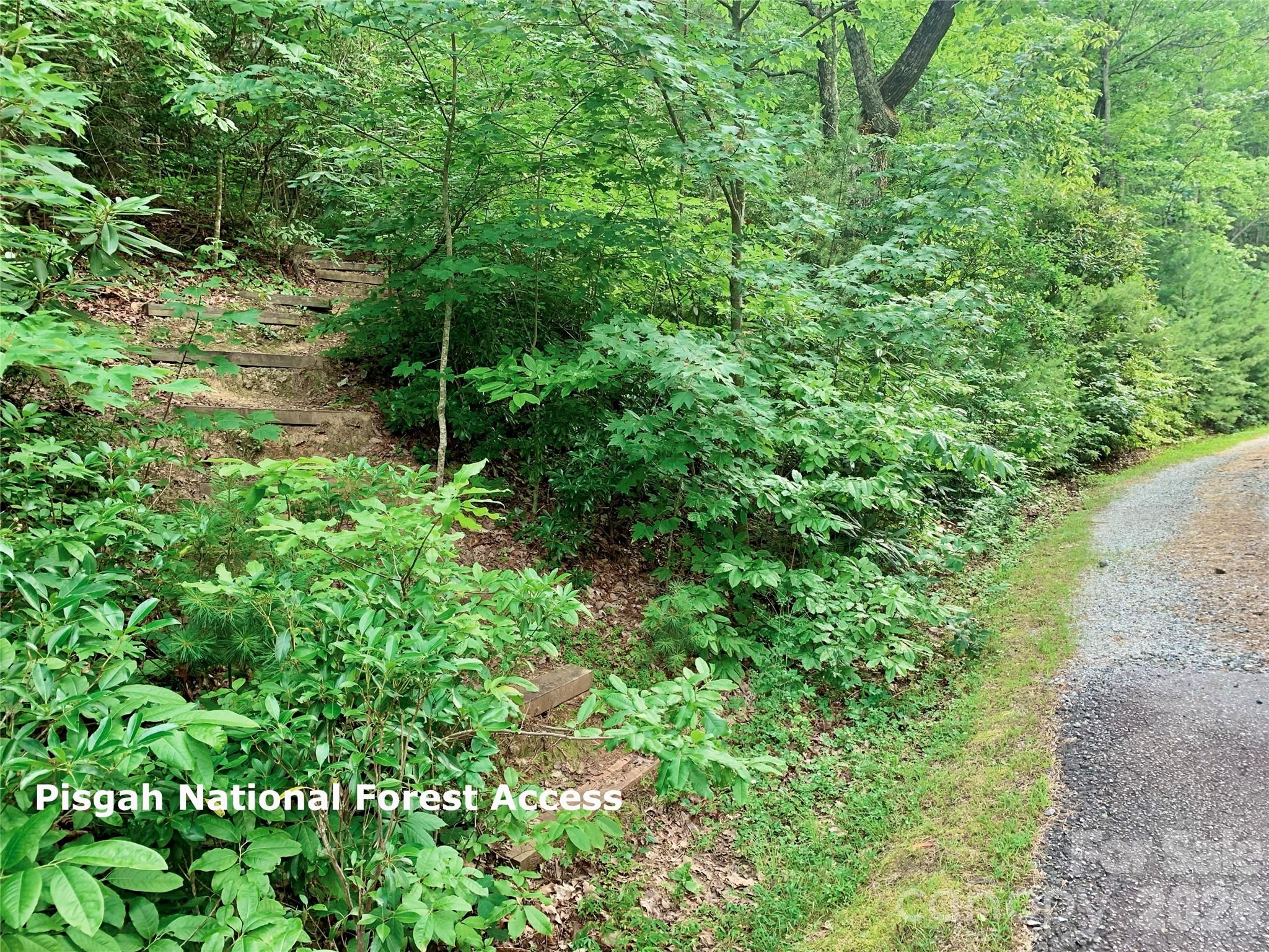 35+ acres - Lot 23 Bear Track Lane 23
