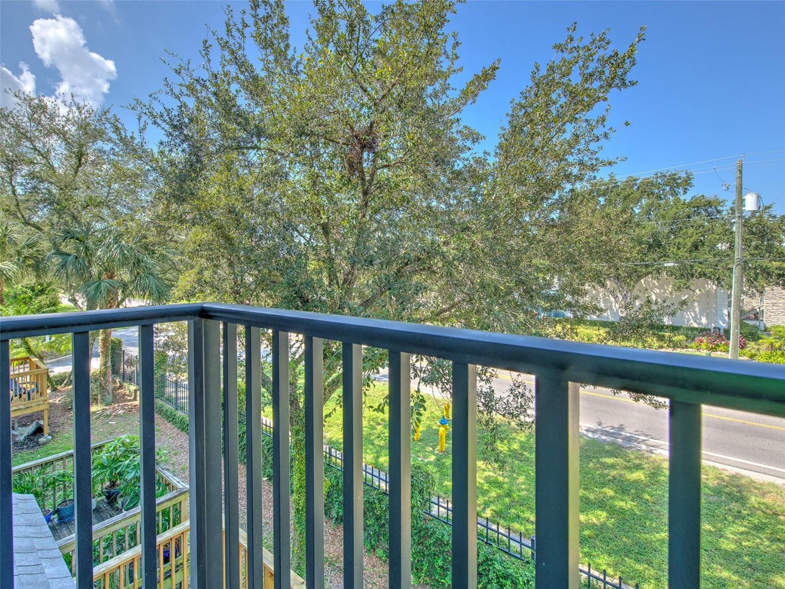 5303 Escena Ct