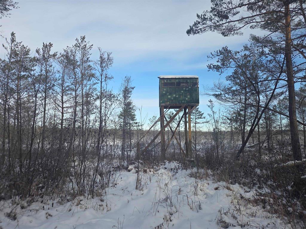 Square forty with the back line bordering Federal lands. This area has proven to hold quality bucks over the past years. Quality deer management is common practice with several of the adjoining property owners. This land is not for everyone, it has lots of marsh and wet area's. However it is ready for your habitat improvements projects. Put on your scent free rubber knee highs and go. The elevated blind allows one to cover large area's during rifle season. Several older box blinds are found on the property with a little tlc you could re-establish the shooting lanes and use them again. Lots of game trails are found through out the property. Power is at the road should you want to construct a cottage on the property. The Oscoda, Greenbush area offers several golf courses, public beaches on inland and Lake Huron and the AuSable River is just a short distance from this location. Call today for more information, listing agent has property across the street and is very familiar with the area, and all it offers.