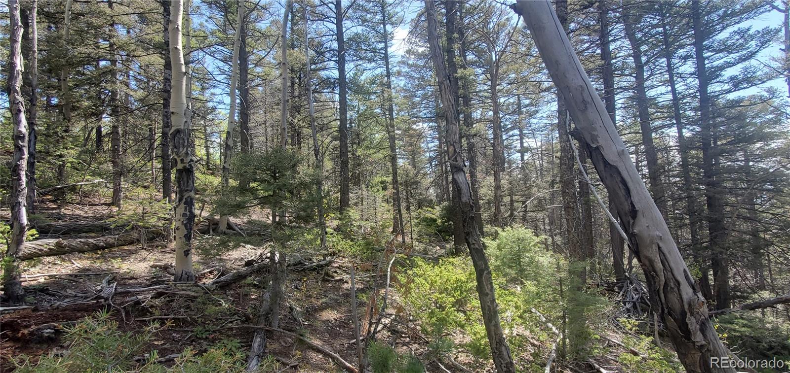 Lot 5610 Dawson Road