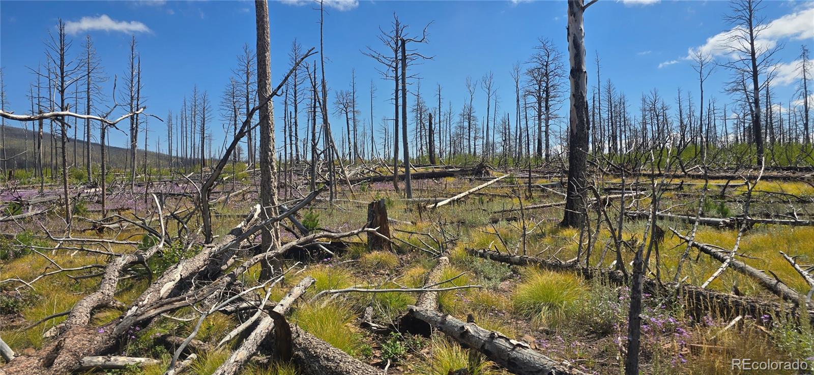 Lot 1242 Granville Loop