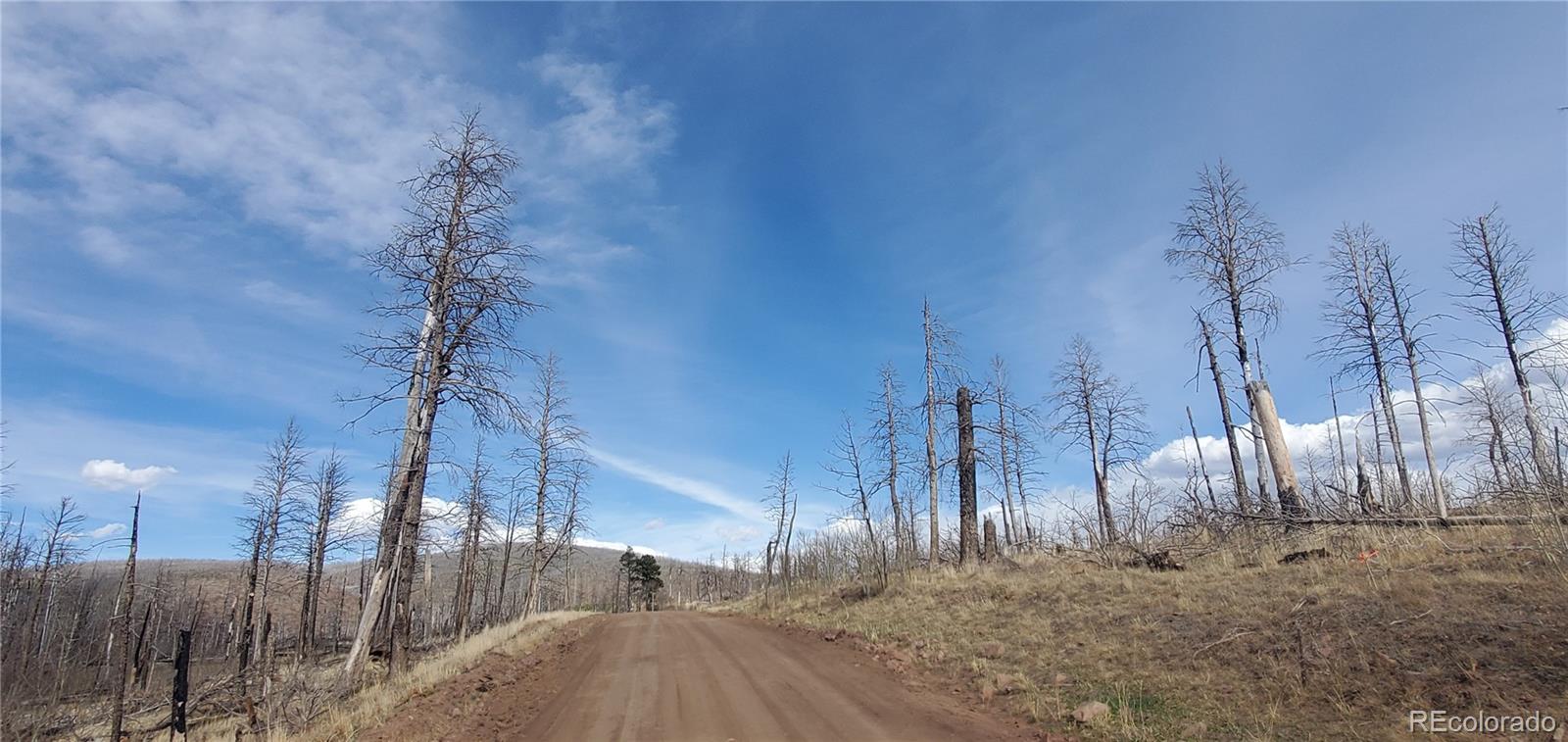 lot 1223 Emery Loop