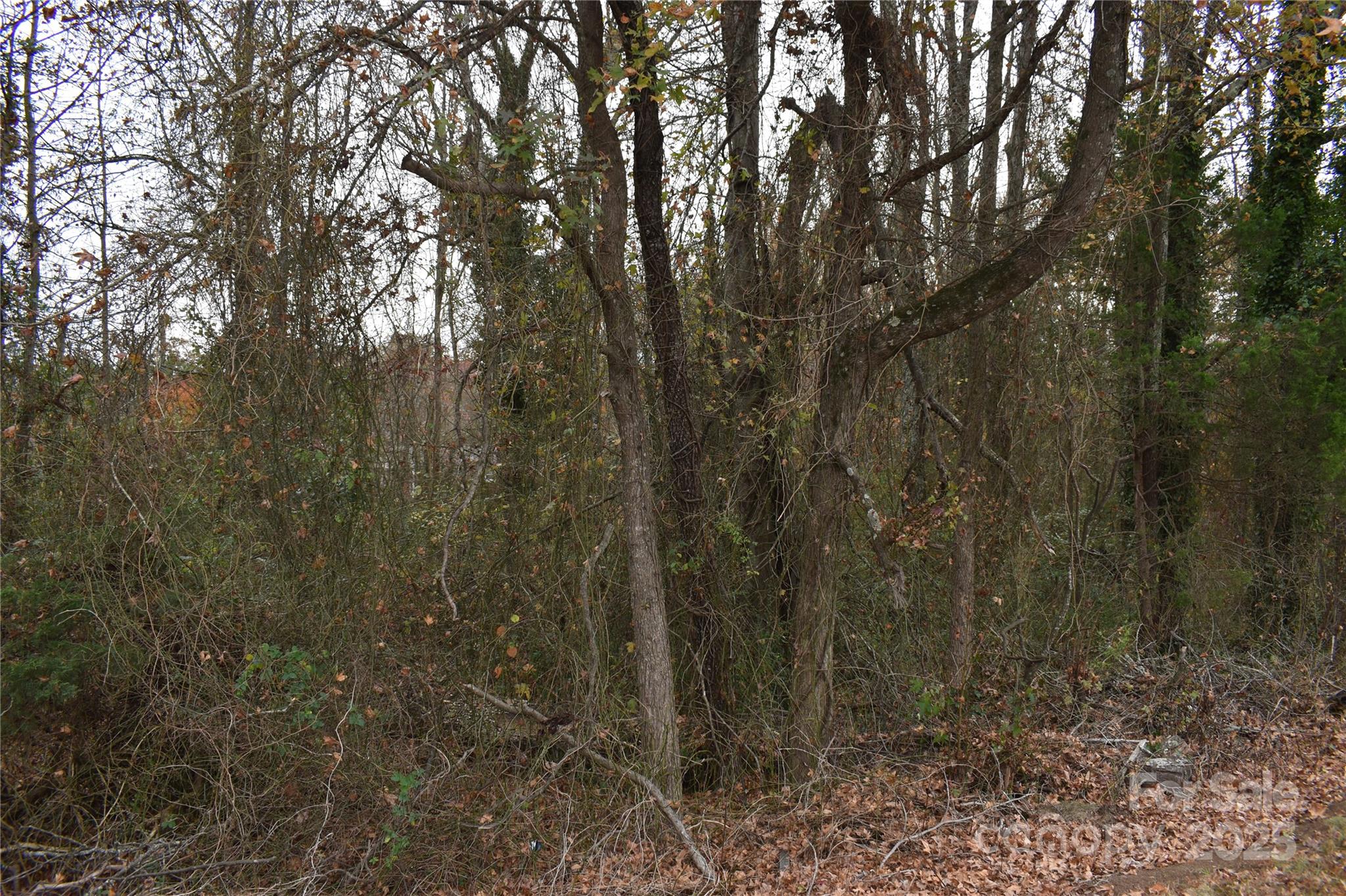 00 Horseshoe Lake Road