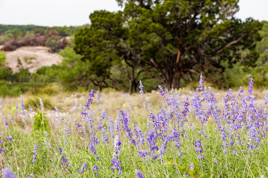 101 NE Big Draw Drive