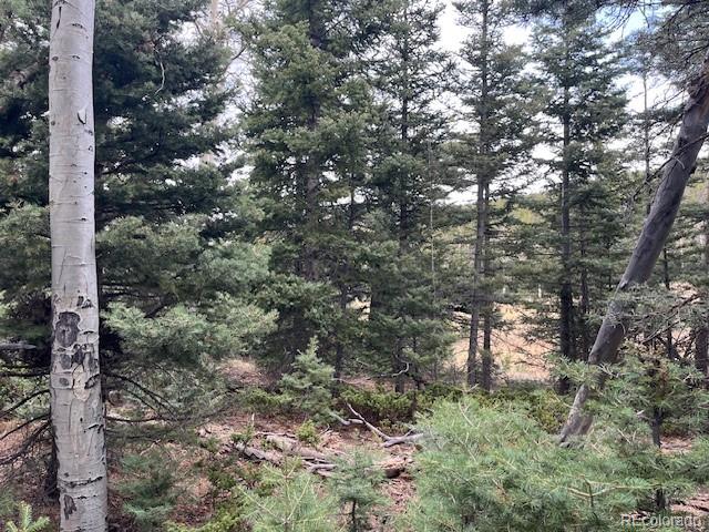 Lot 3091 Sterenson Place
