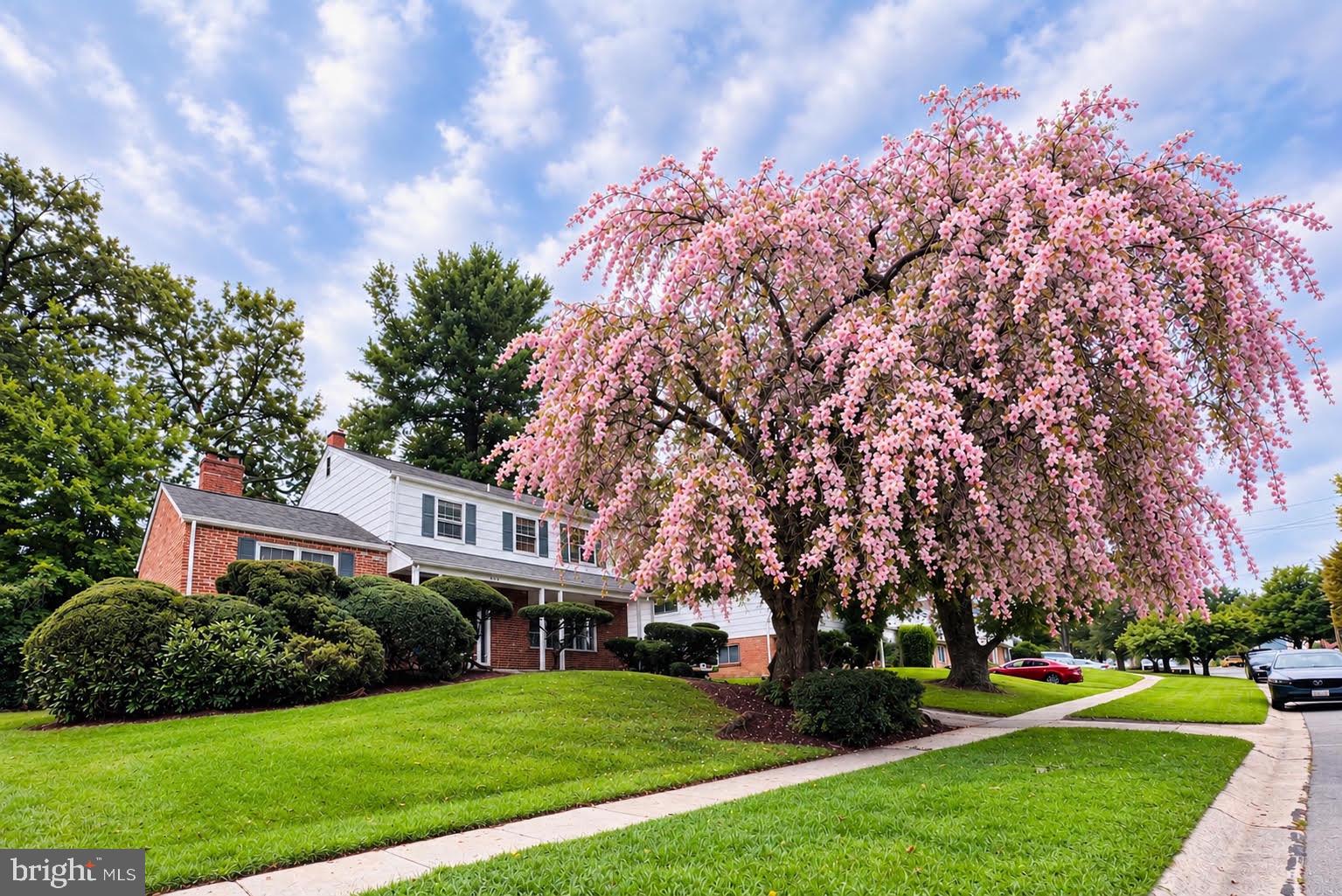 900 Lamberton Drive