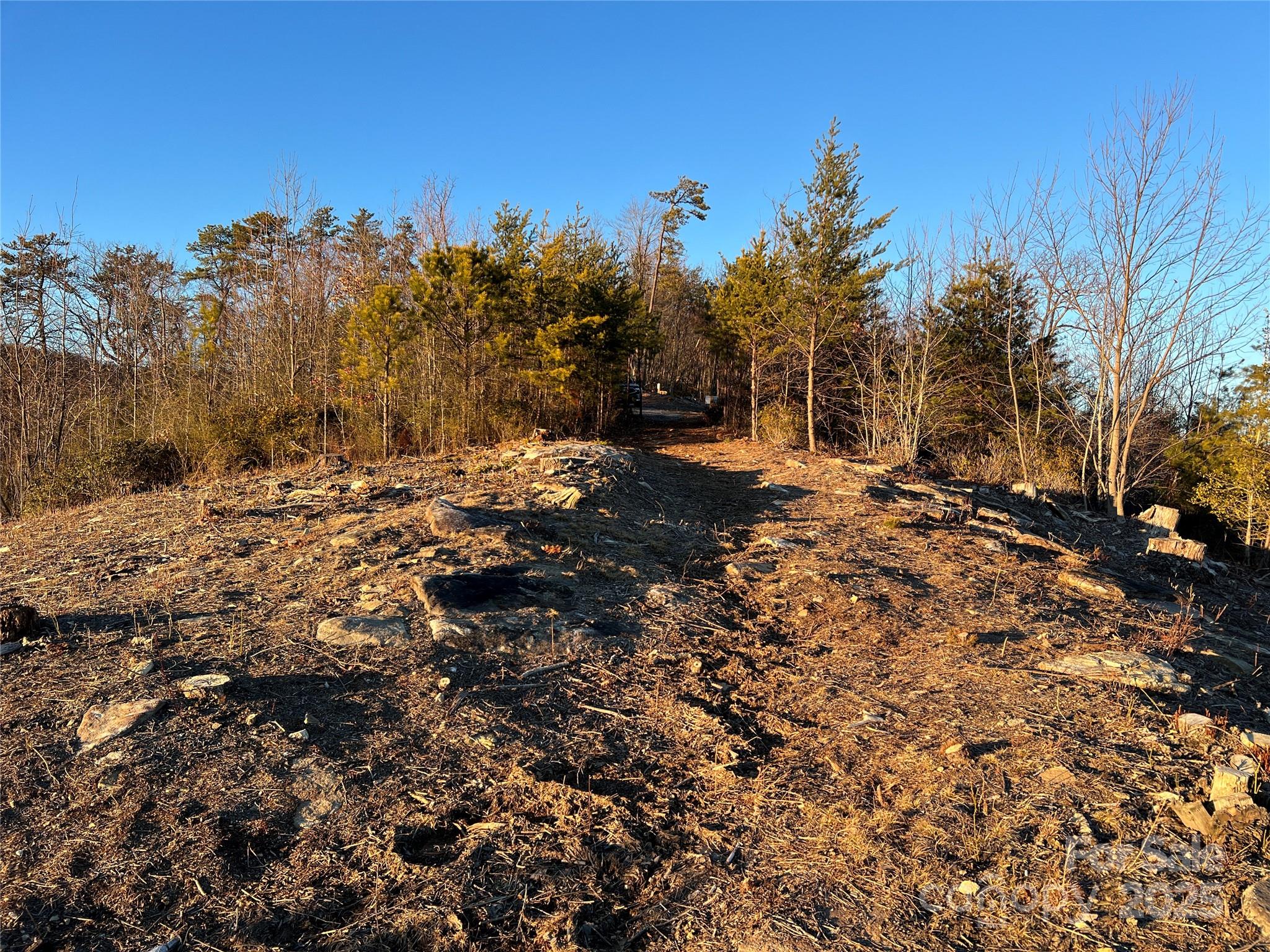 TR 14 Blackberry Ridge