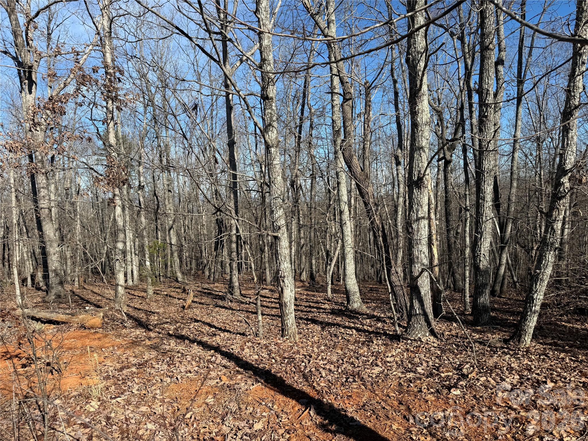 108 Woodgate Trail 94
