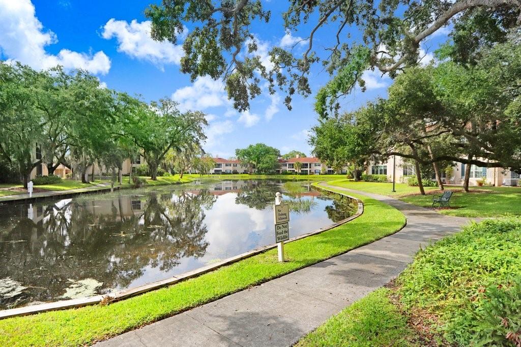 10359 Carrollwood Lane 157